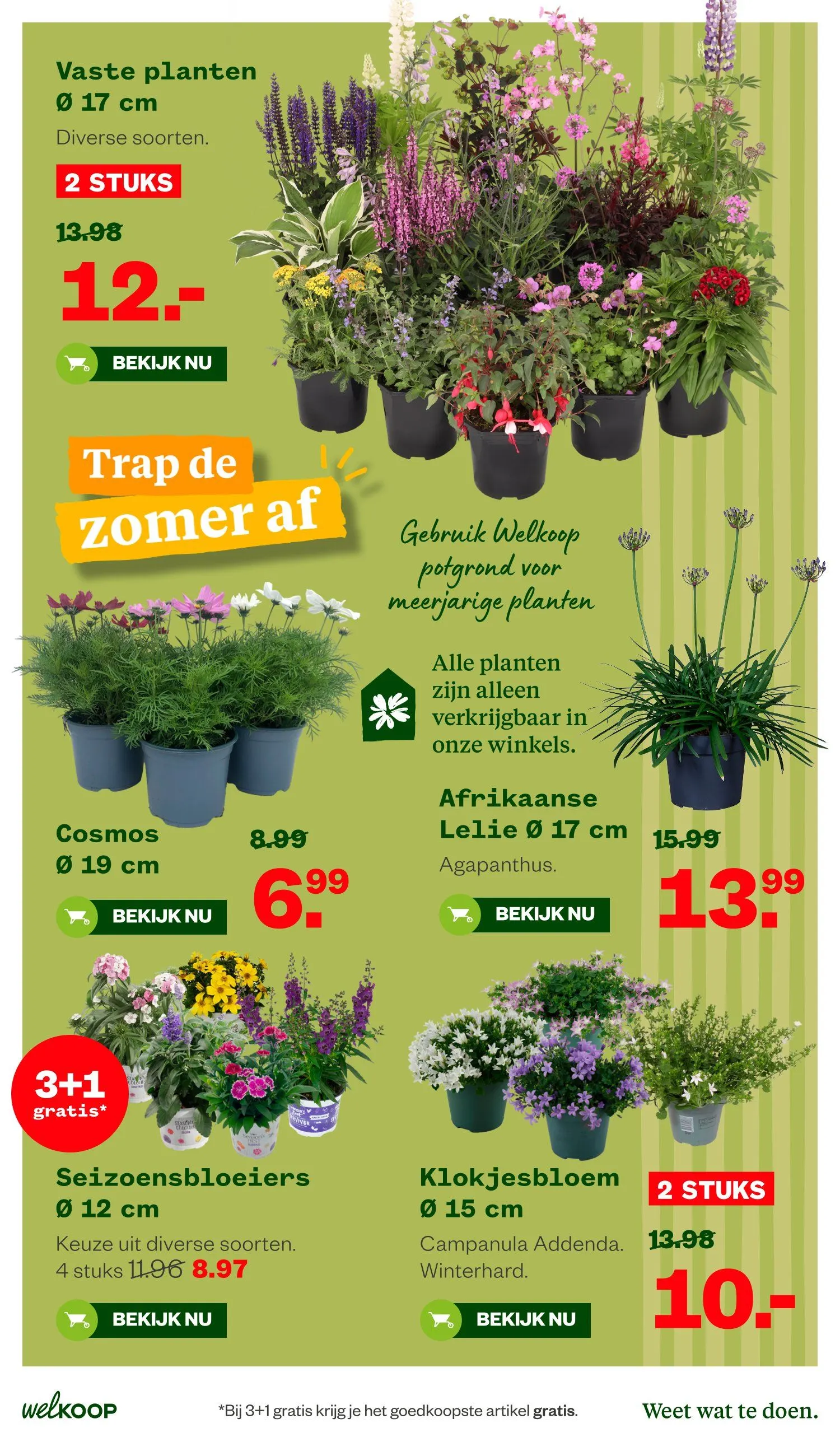 Welkoop folders van 8 juni tot 21 juni 2026 - Folder pagina 27