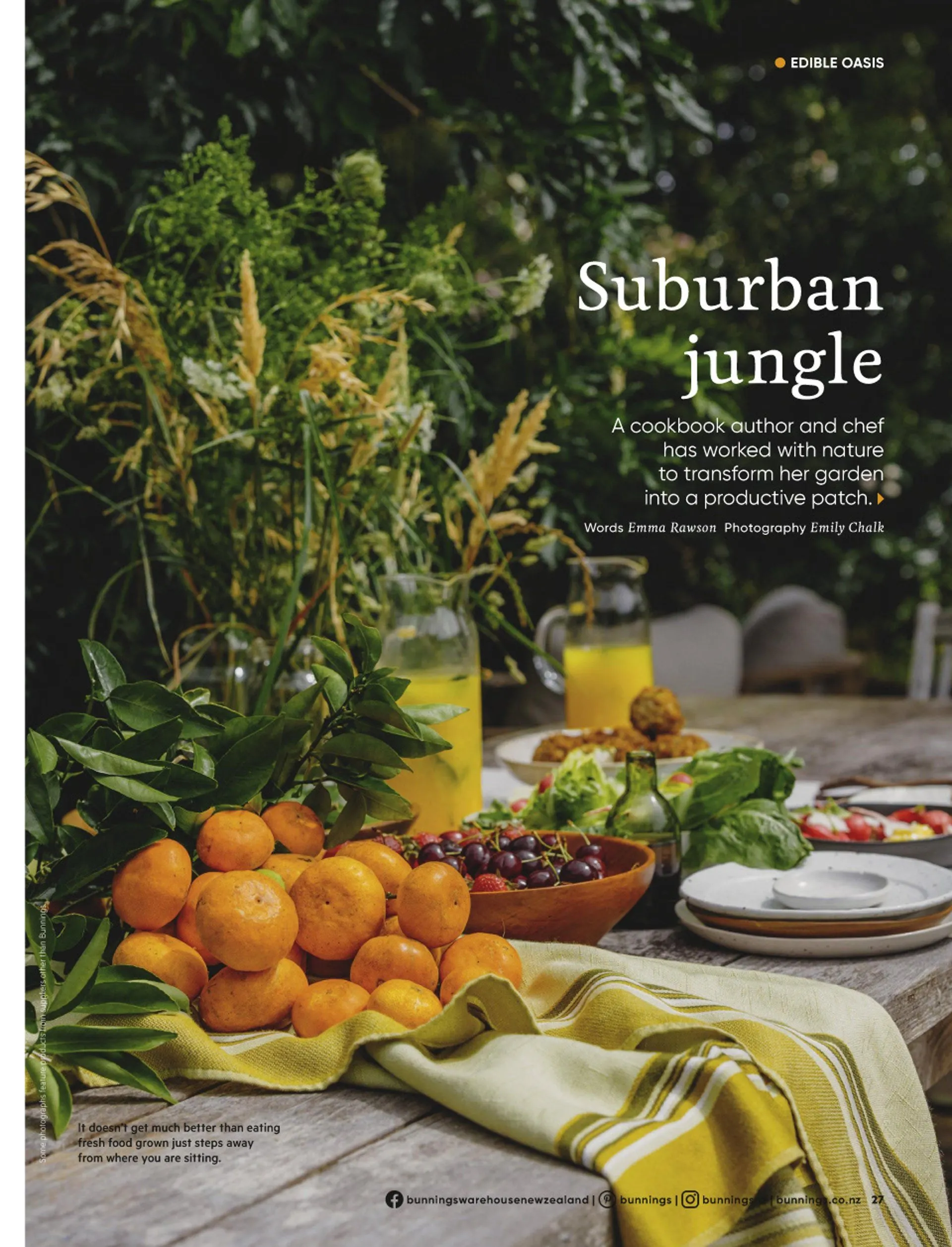 Bunnings weekly ads from 19 May to 31 July 2026 - Catalogue Page 27