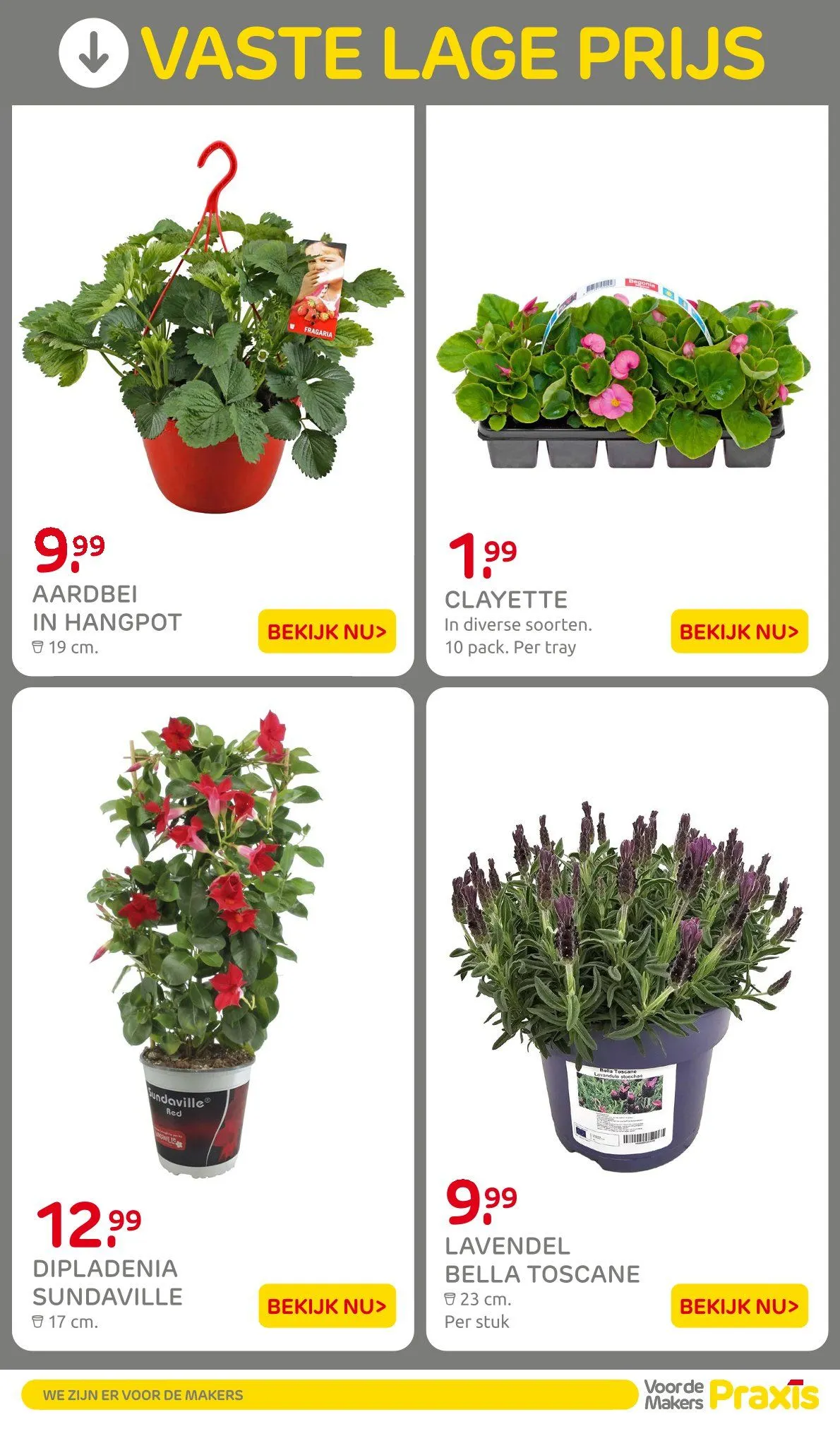 Praxis folders van 30 maart tot 6 april 2026 - Folder pagina 27