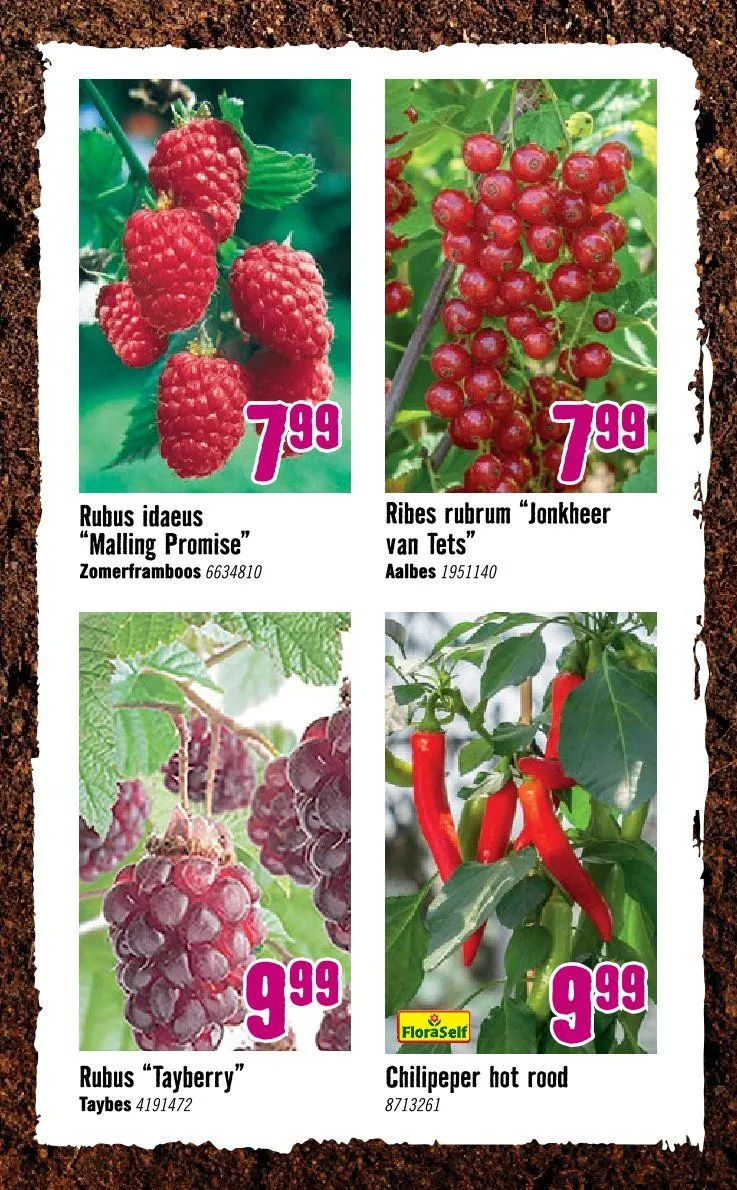 Hornbach folders van 8 april tot 3 mei 2026 - Folder pagina 27