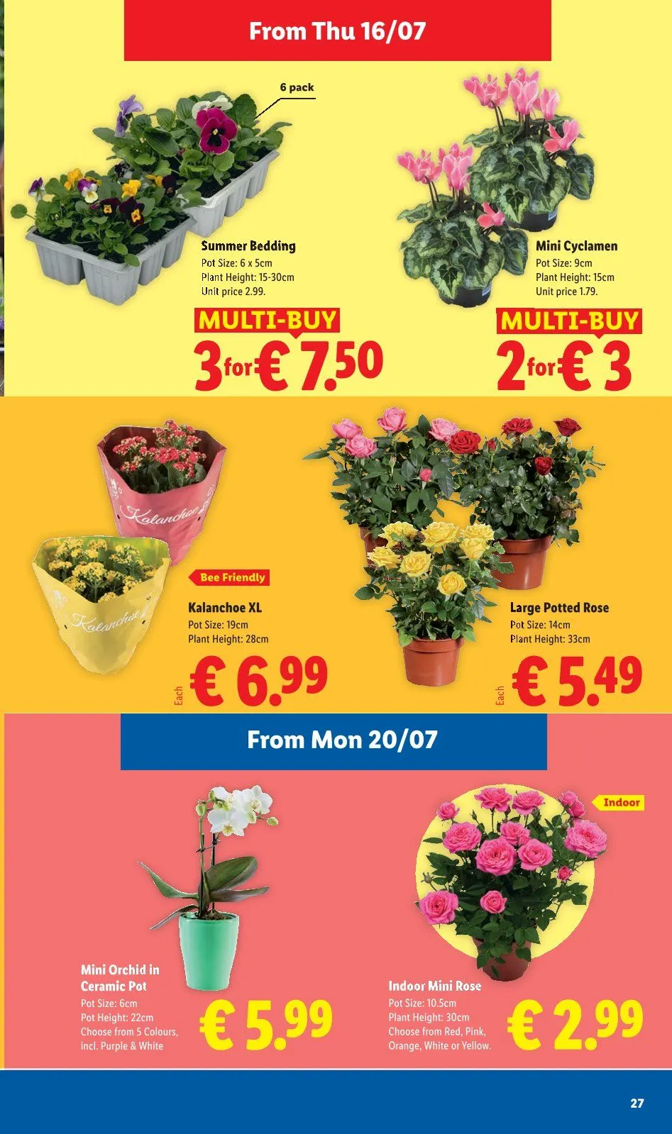 Lidl - 16 July 22 July 2026 - Page 29