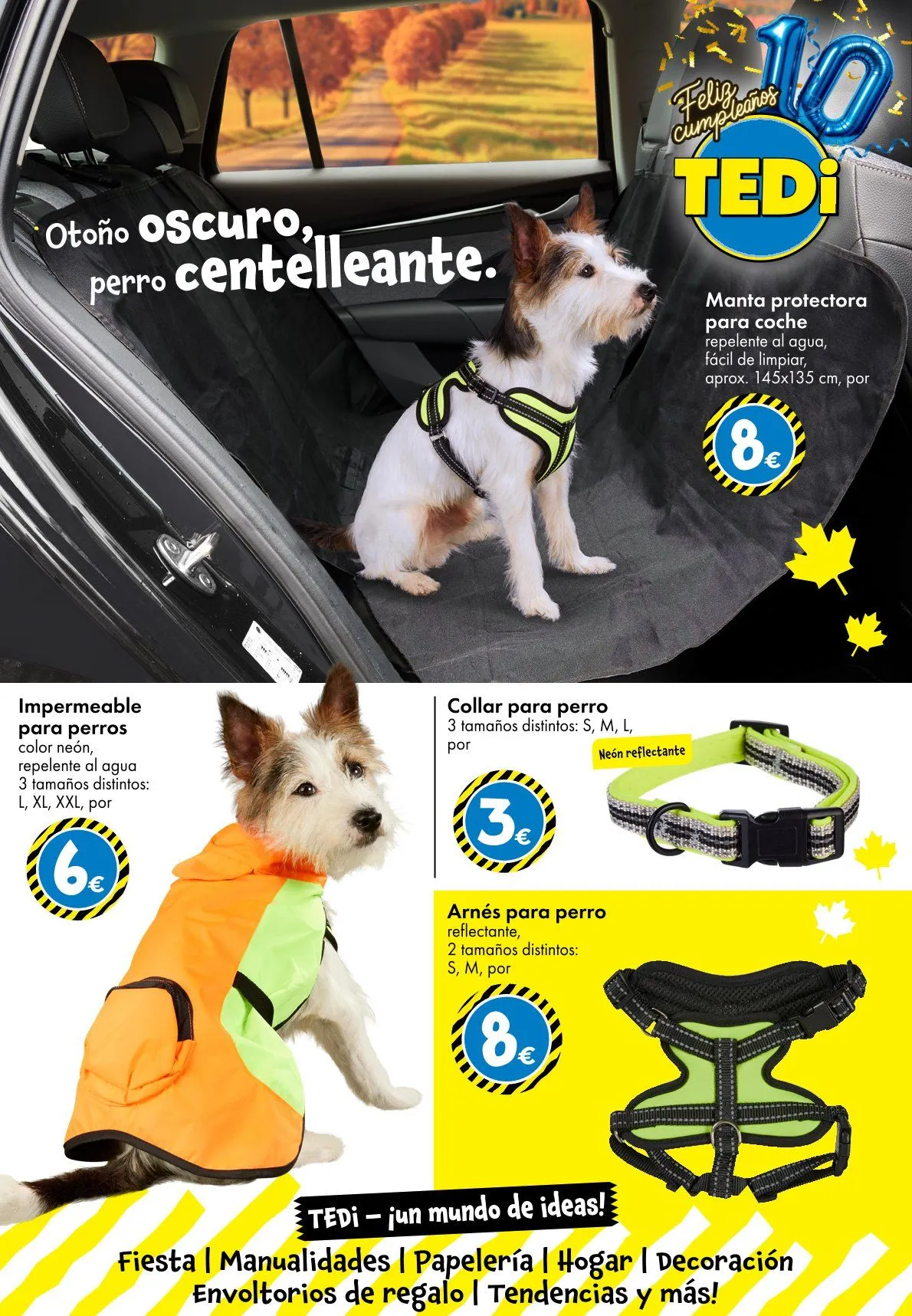 Catálogo de Conoce las últimas ofertas de TEDi 3 de octubre al 12 de octubre 2025 - Página 27