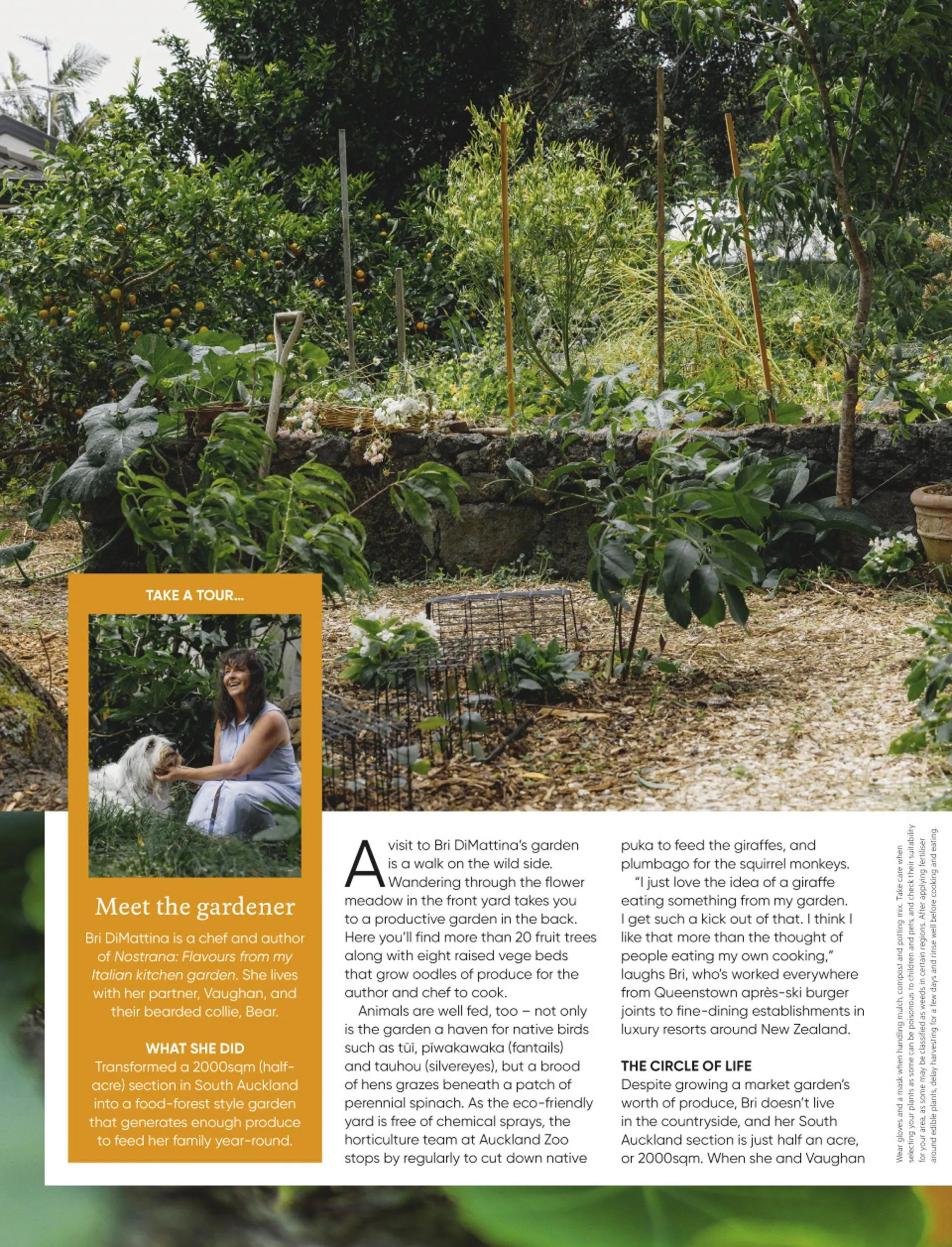 Bunnings weekly ads from 19 May to 31 July 2026 - Catalogue Page 28