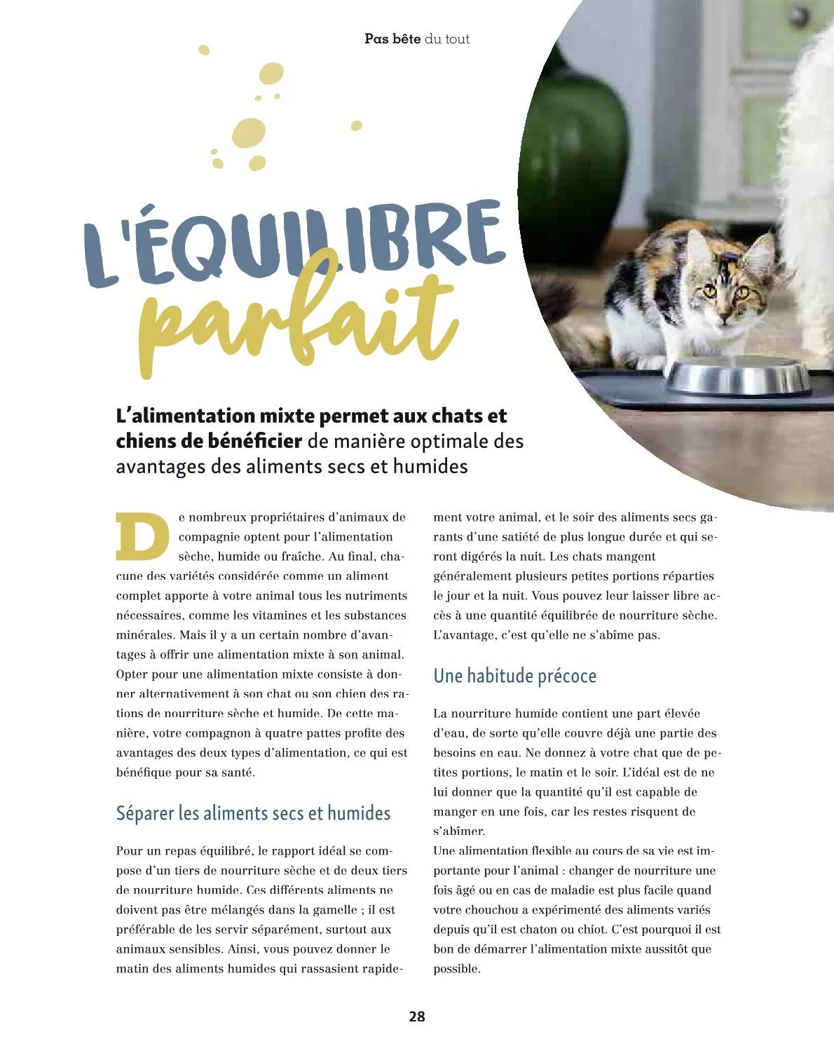 Maxi ZOO Catalogue du 23 décembre au 31 décembre 2025 - Catalogue page 28