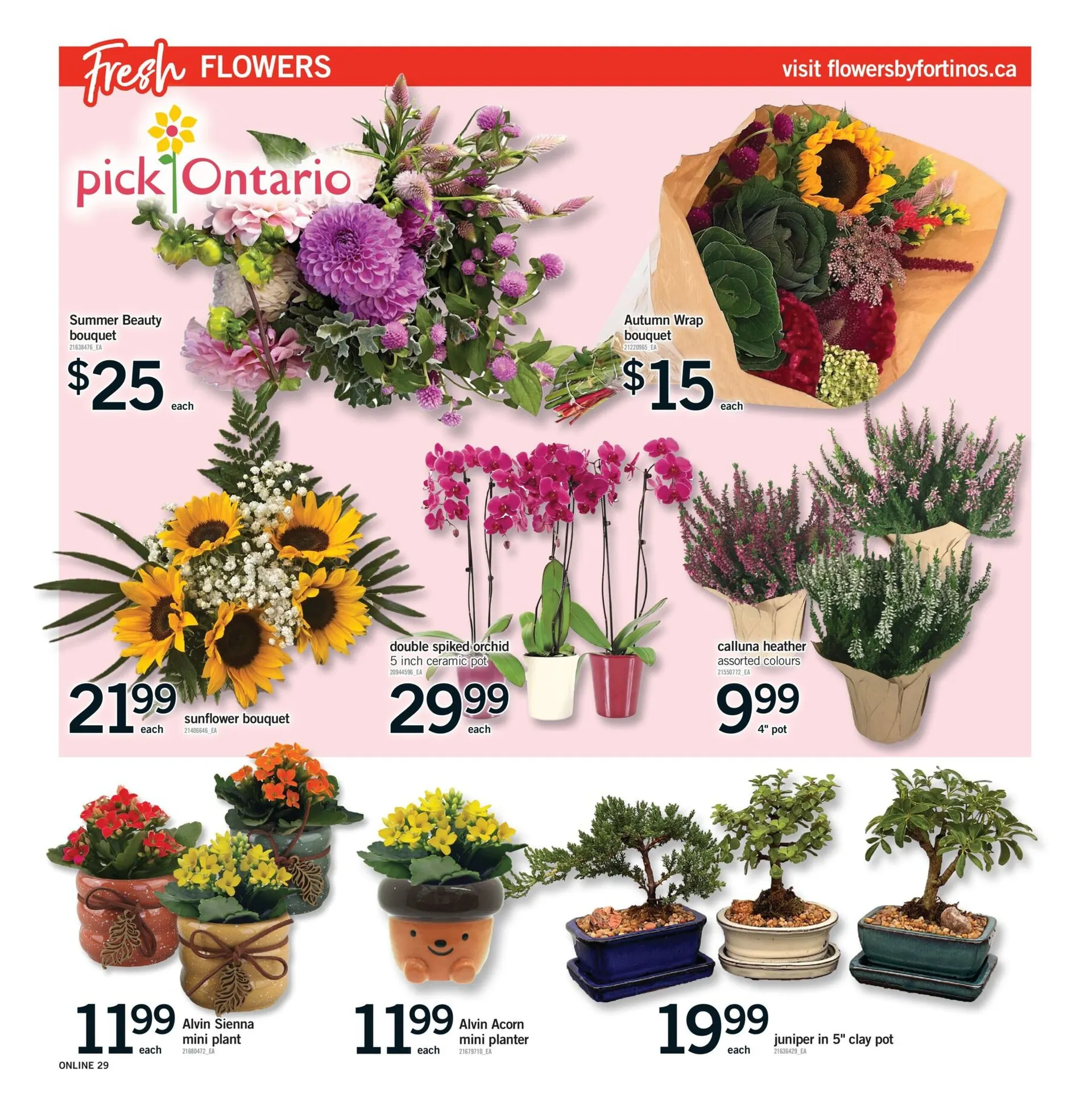 Fortinos flyers from August 27 to September 2 2025 - flyer page 28