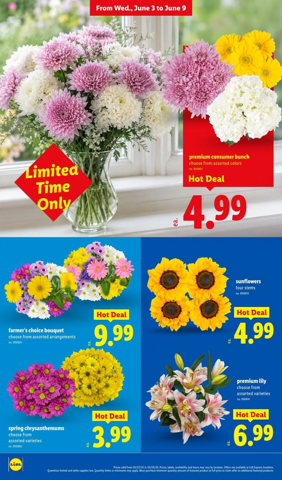 Weekly promotion Lidl Sales spanning from June 3 to June 9 2026 - Page 28 for Catalogue 365