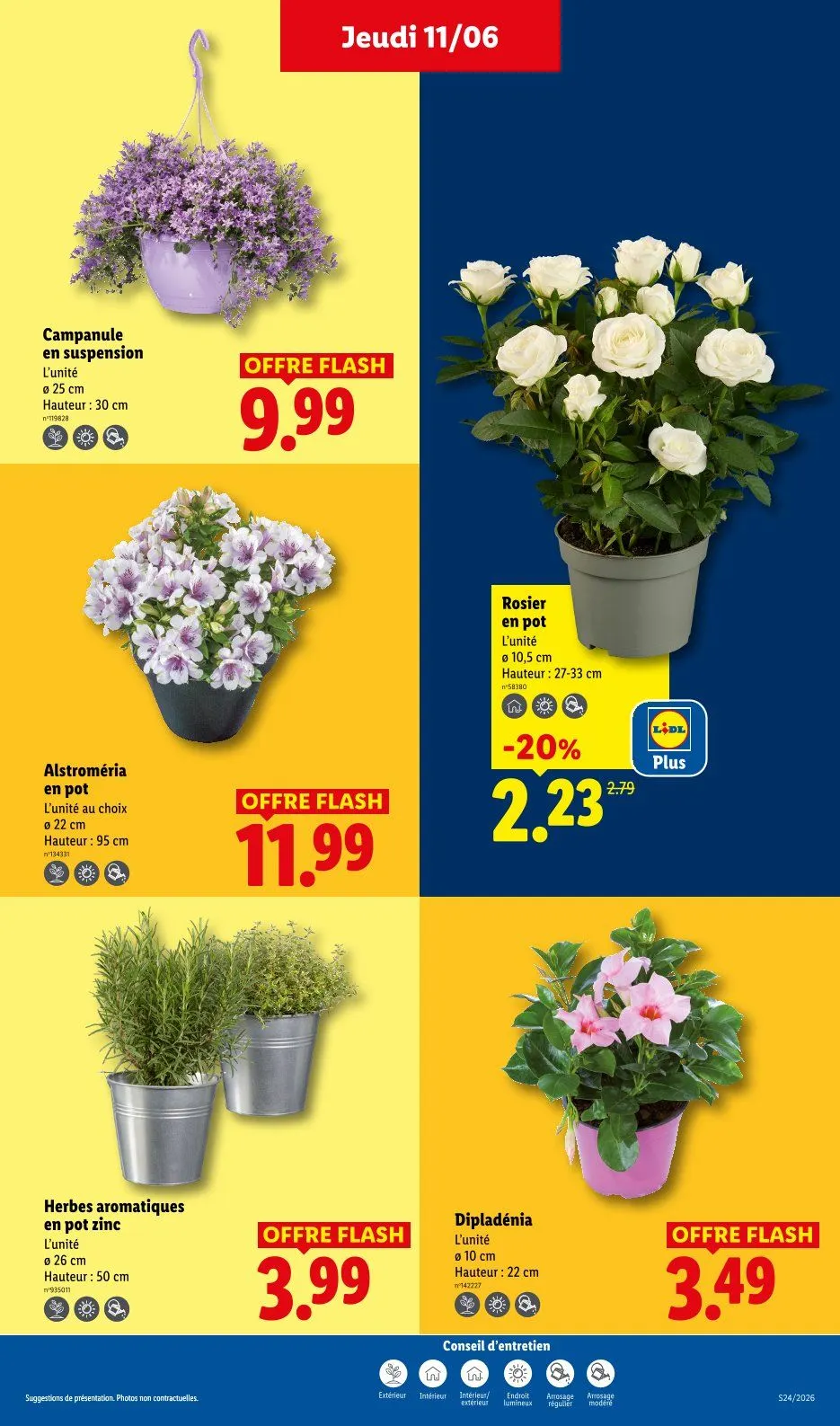Catalogues Lidl  du 11 juin au 17 juin 2026 - Catalogue page 29