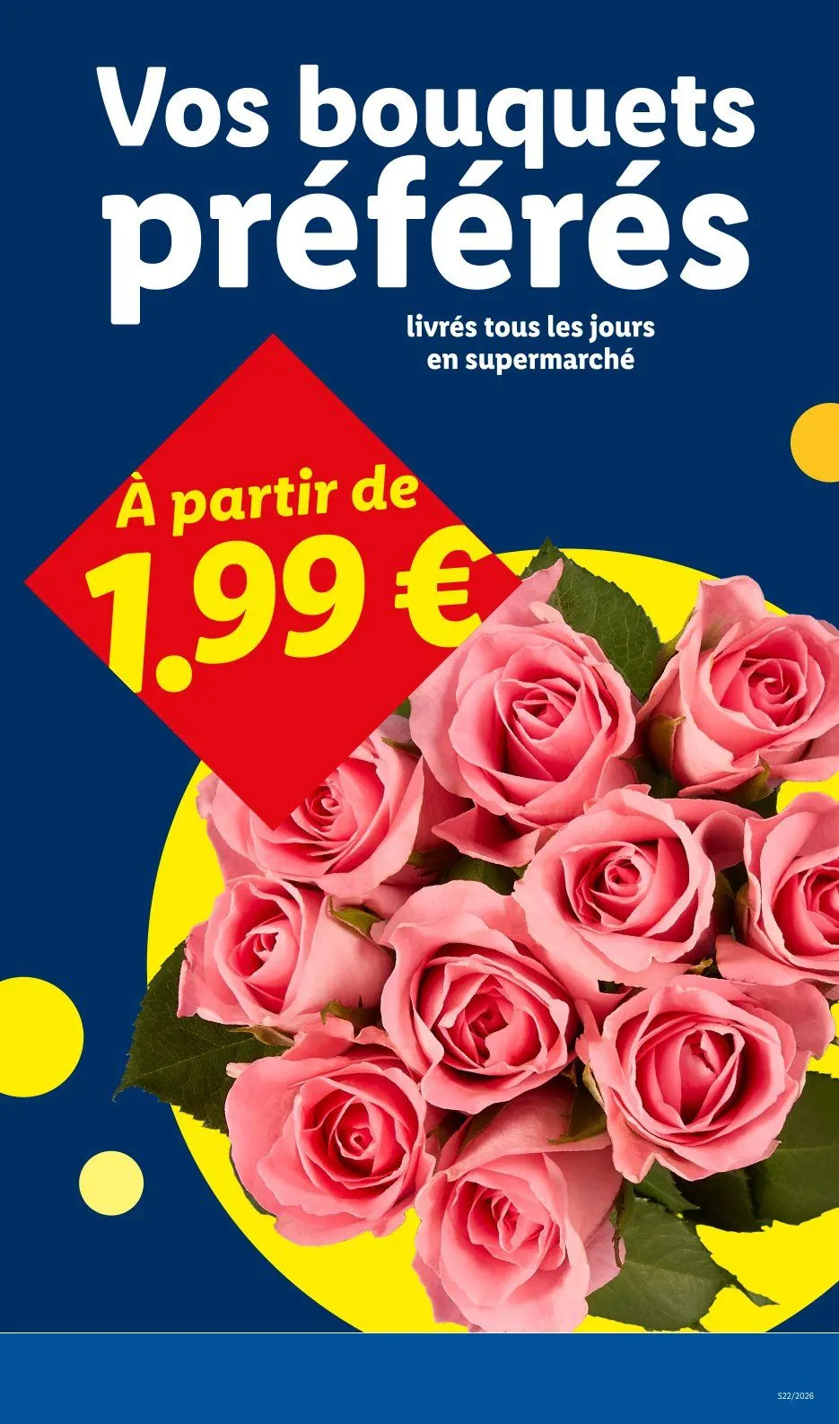 Catalogues Lidl du 28 mai au 3 juin 2026 - Catalogue page 29