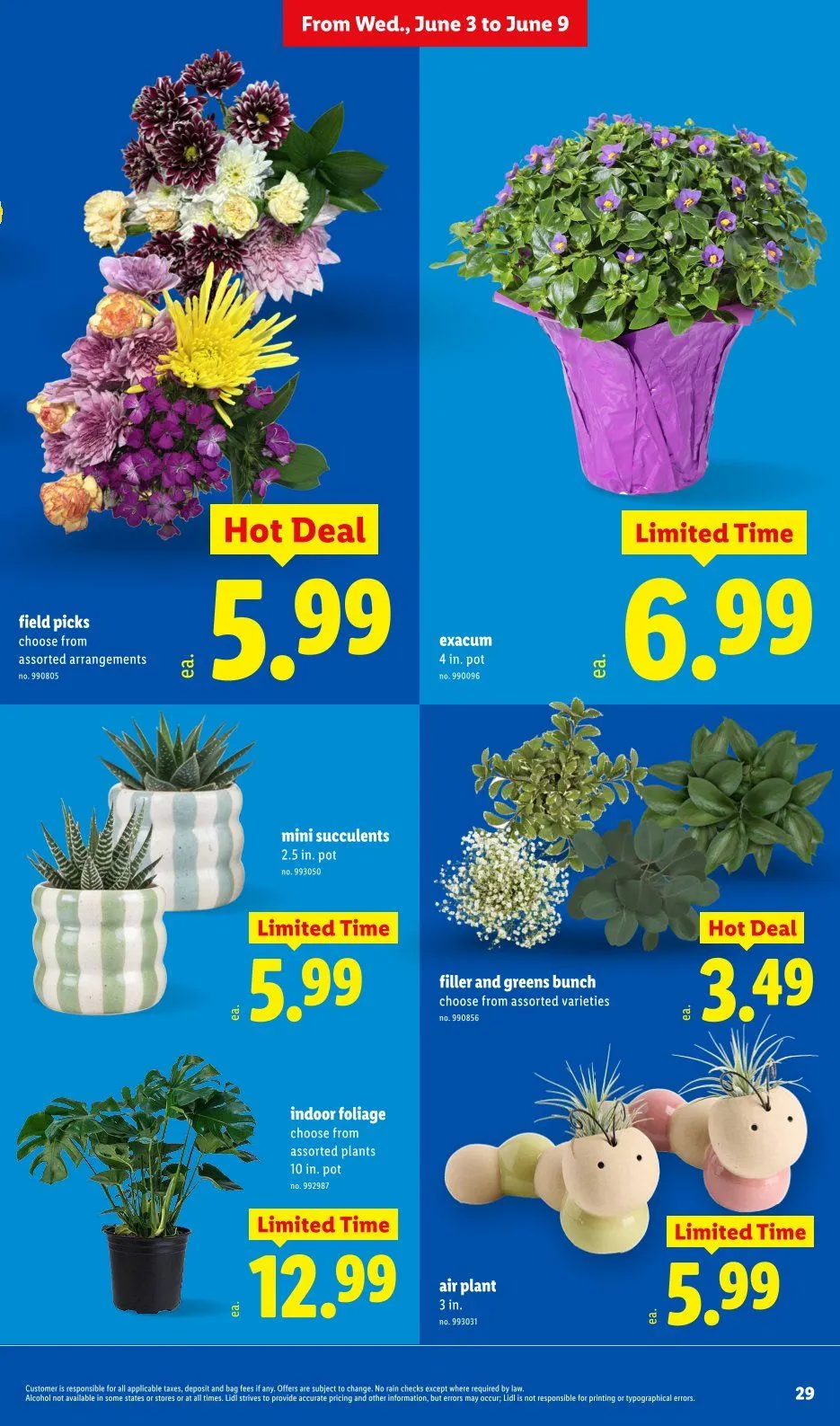 Weekly promotion Lidl Sales spanning from June 3 to June 9 2026 - Page 29 for Catalogue 365