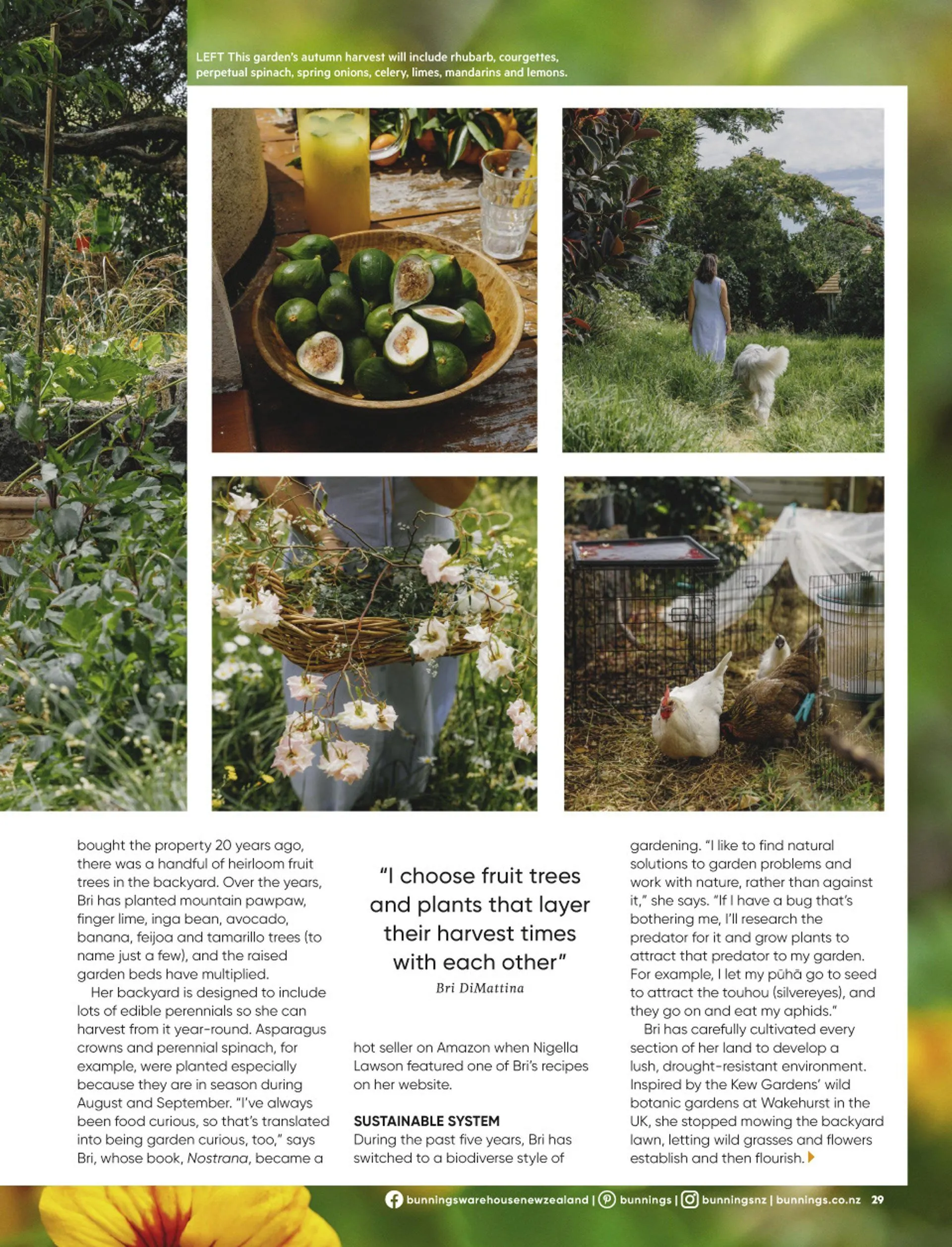 Bunnings weekly ads from 19 May to 31 July 2026 - Catalogue Page 29
