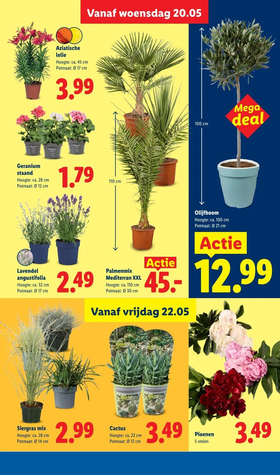Lidl folders van 18 mei tot 24 mei 2026 - Folder pagina 29