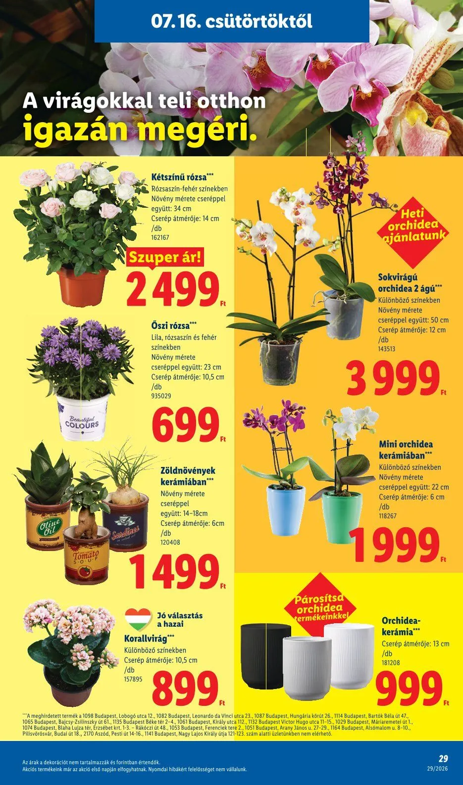 Katalógus Lidl  július 16.-tól július 22.-ig 2026. - Oldal 29
