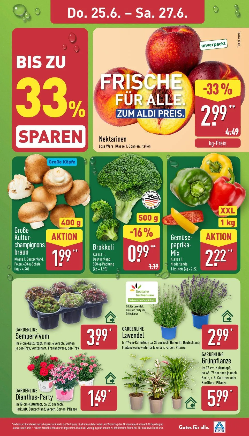 ALDI Nord Prospekte von 22. Juni bis 27. Juni 2026 - Prospekt seite 29