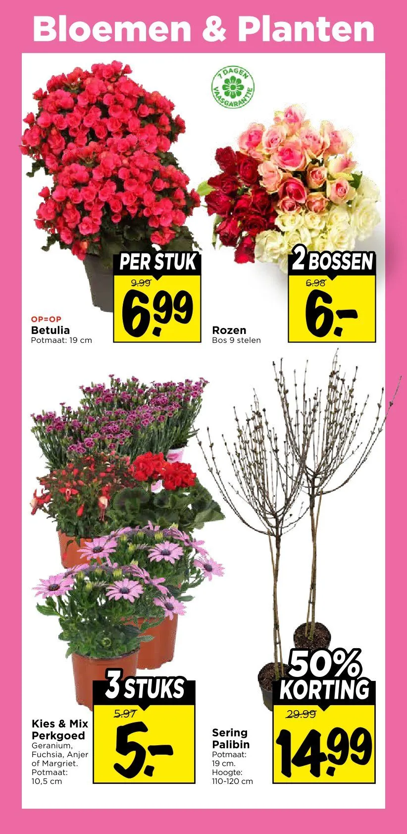 Vomar folders van 5 april tot 11 april 2026 - Folder pagina 29