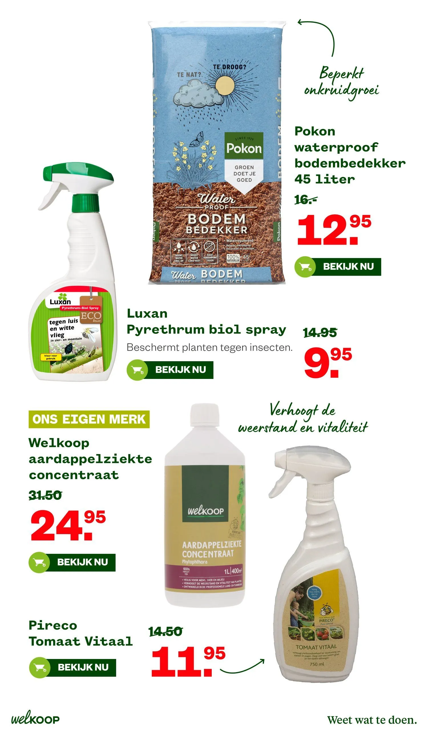 Welkoop folders van 8 juni tot 21 juni 2026 - Folder pagina 29