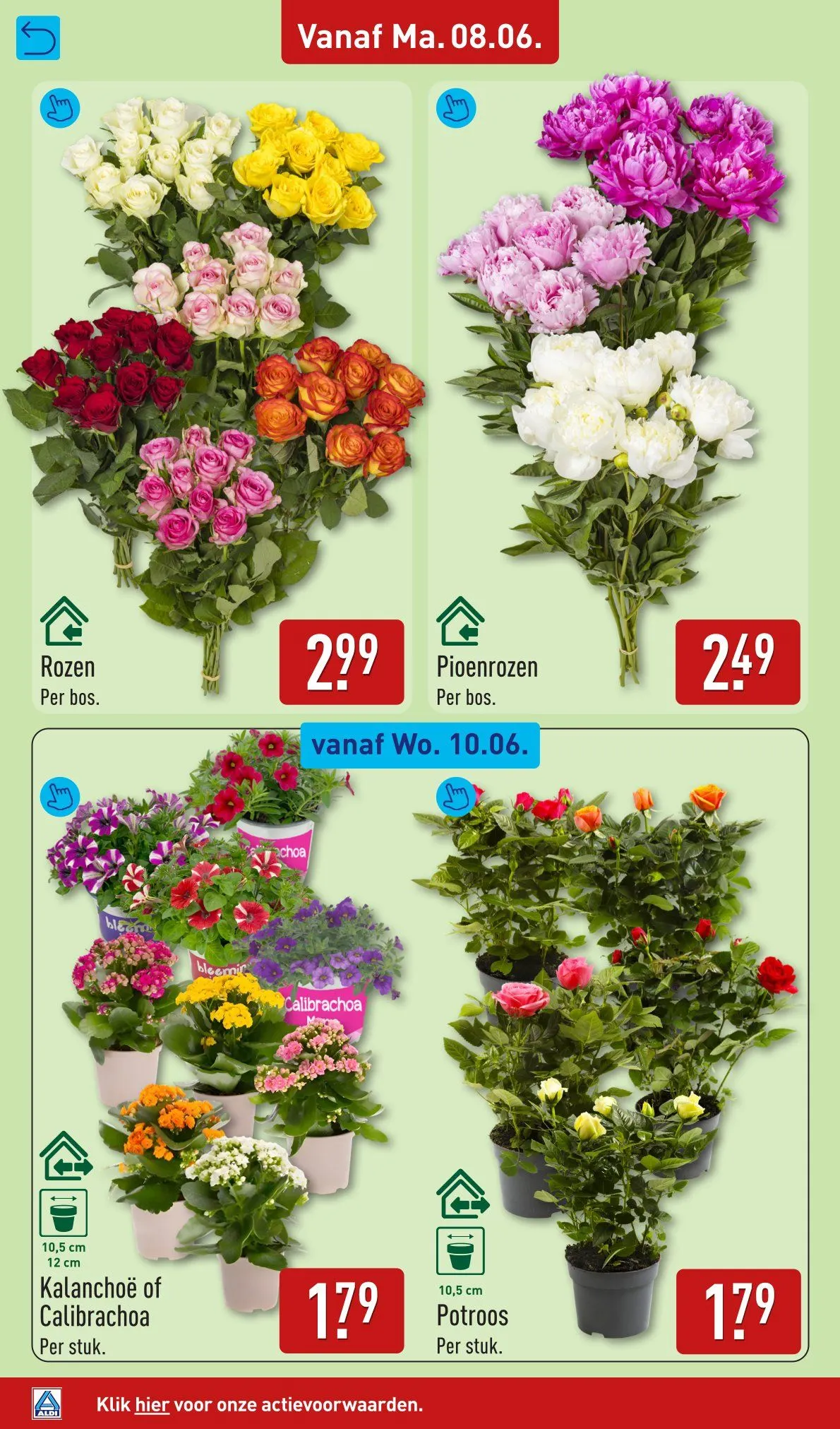 Aldi Folder van 8 juni tot 14 juni 2026 - Folder pagina 30