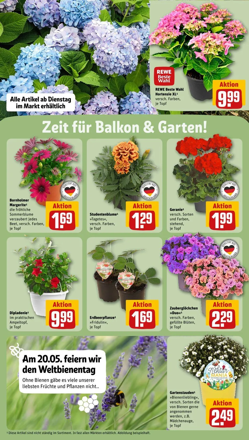 REWE Prospekt von 19. Mai bis 25. Mai 2025 - Prospekt seite 30