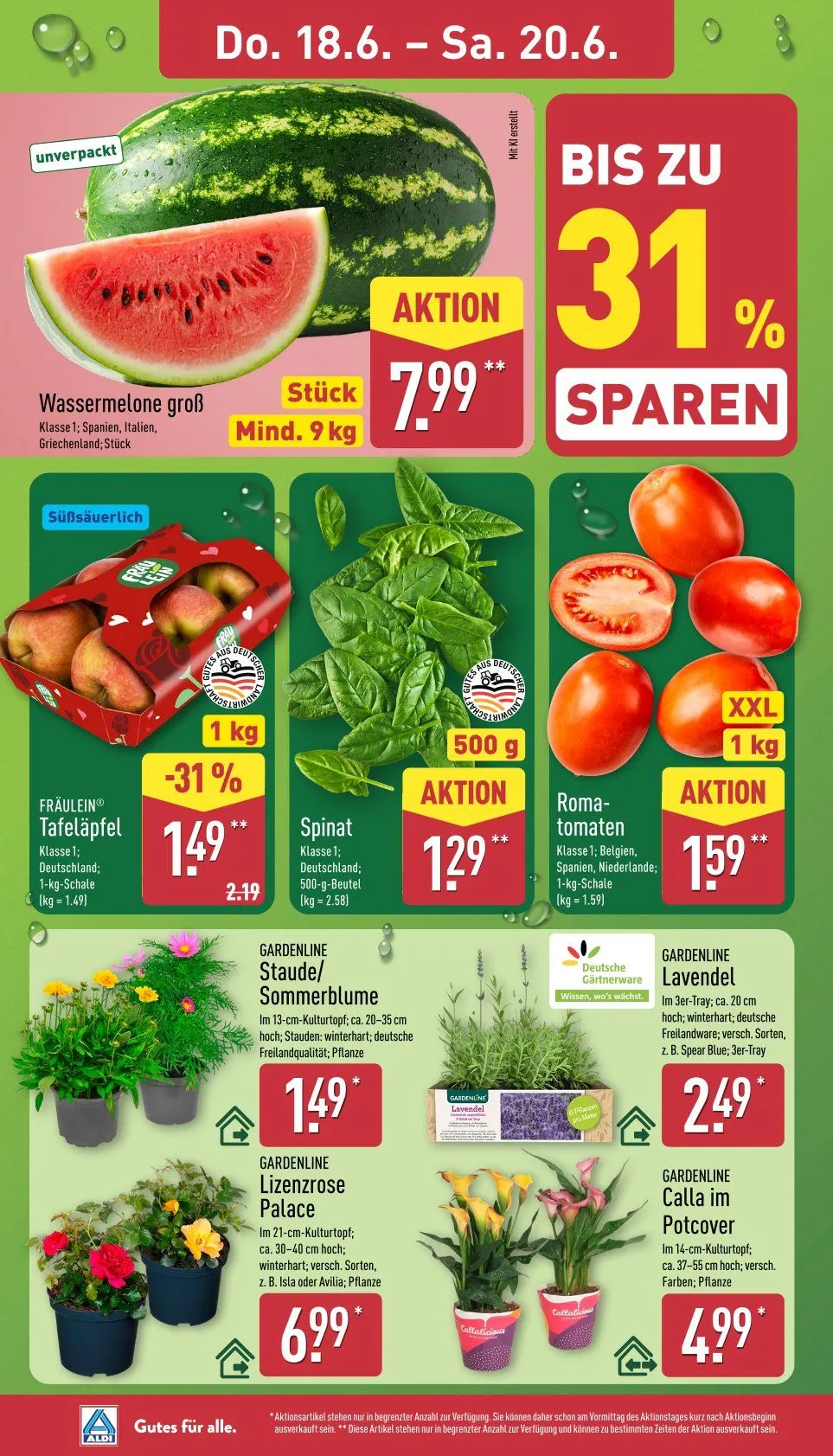  ALDI Nord Prospekte von 15. Juni bis 20. Juni 2026 - Prospekt seite 30