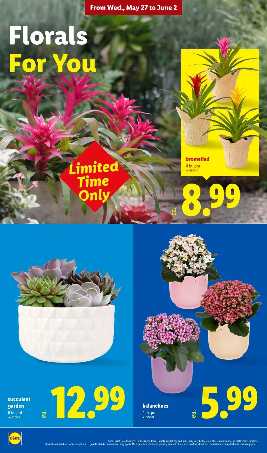 Weekly ad Lidl Sales from May 27 to June 2 2026 - Page 30