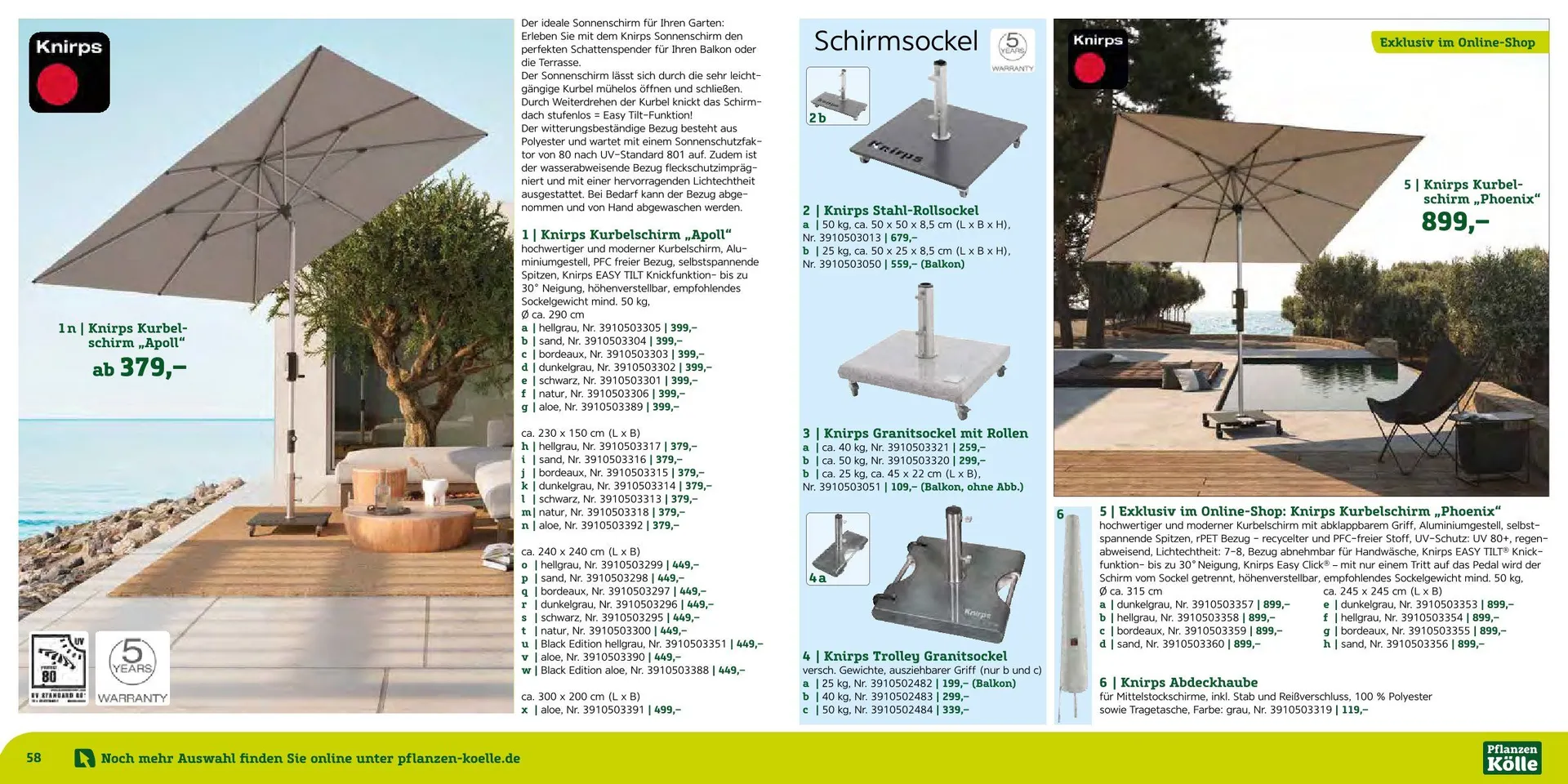 Prospekt Pflanzen-Kölle  von 12. August bis 7. September 2025 - Prospekt seite 30