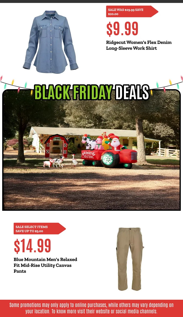 Weekly ad BLACK FRIDAY DEALS from November 21 to November 30 2025 - Page 2