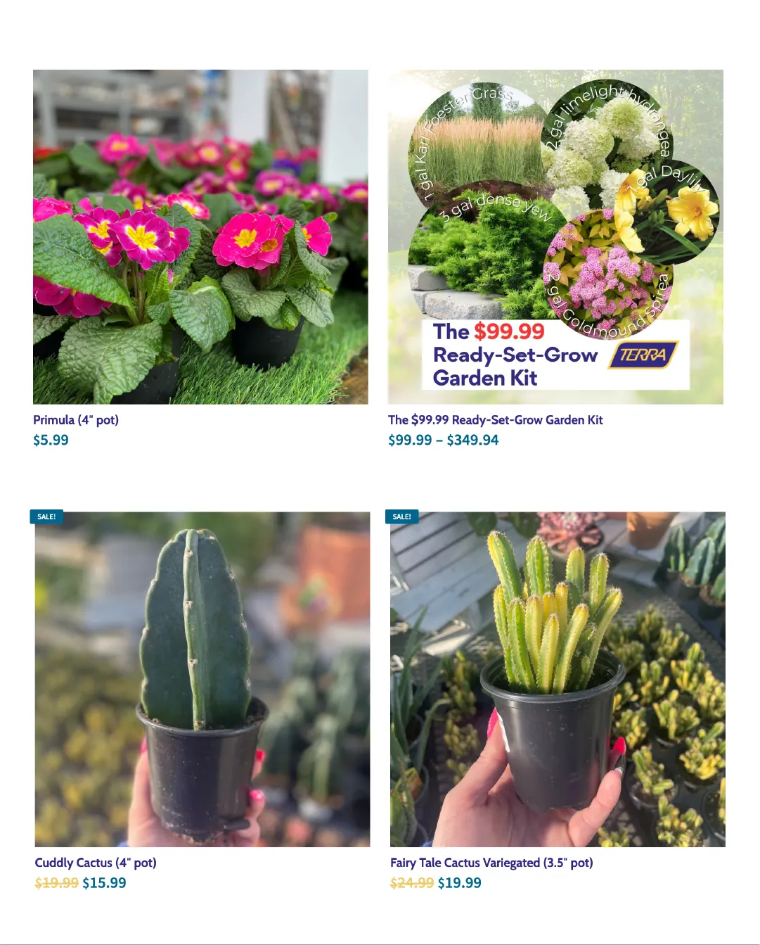  Terra Green Houses Sales from February 25 to March 16 2026 - flyer page 4