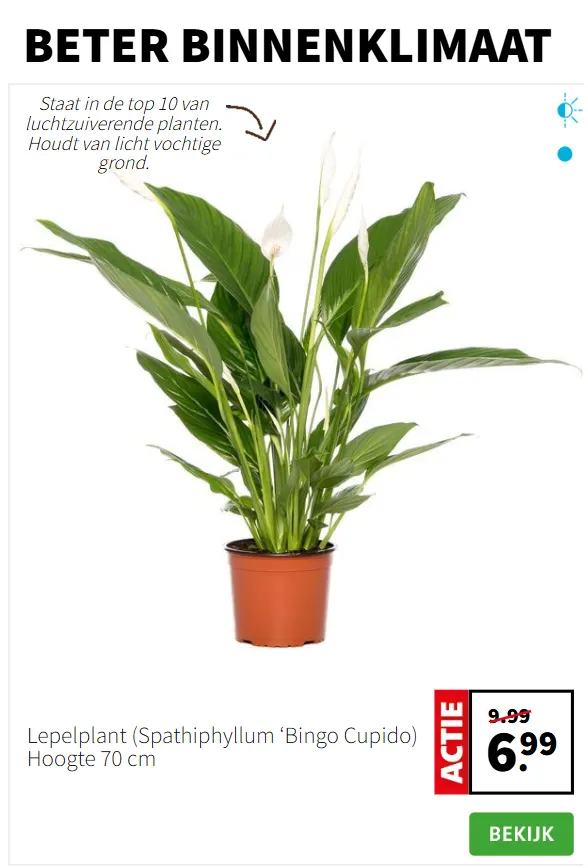 Intratuin Aanbiedingen van 8 januari tot 12 januari 2025 - Folder pagina 2