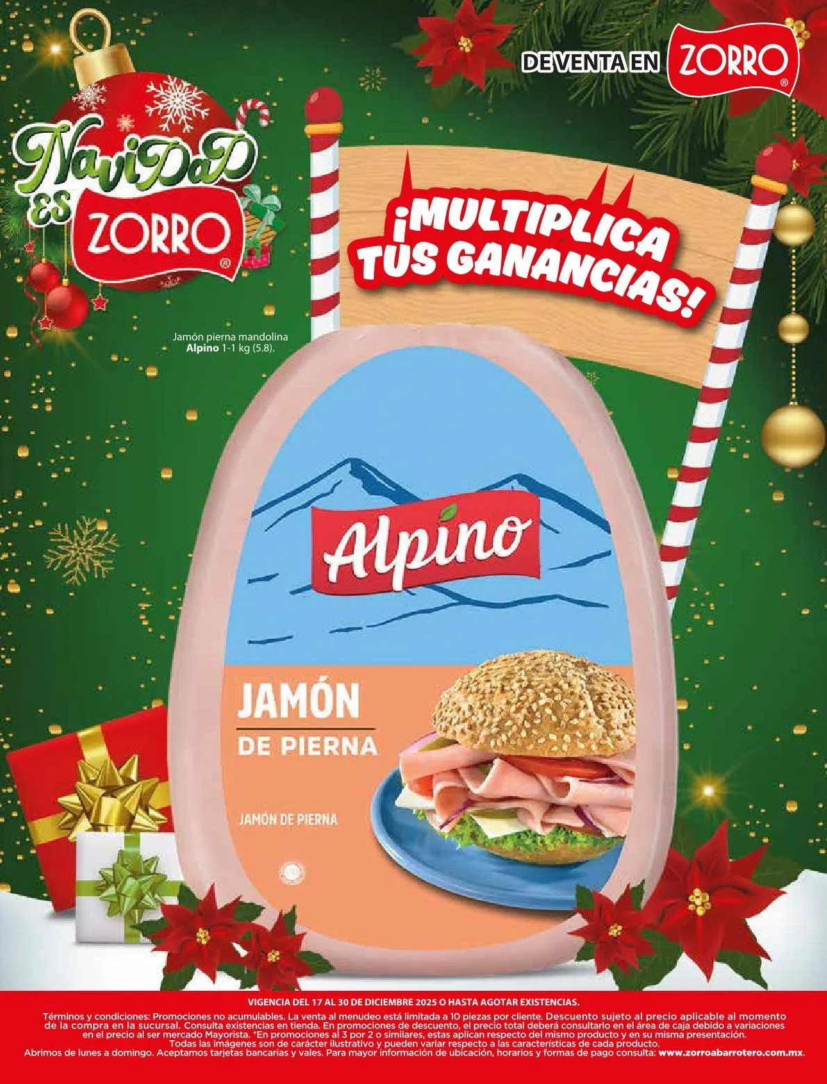 Catálogo de Zorro Ofertas 17 de diciembre al 30 de diciembre 2025 - Pagina 3