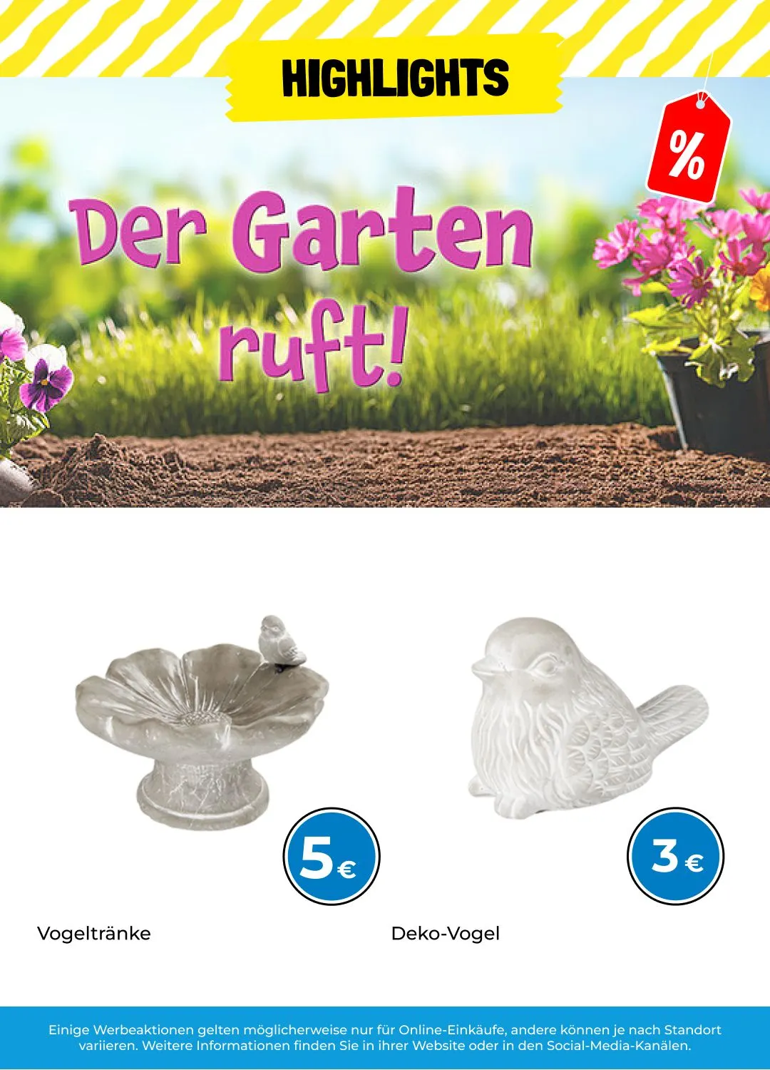 Tedi Prospekte von 10. April bis 24. April 2025 - Prospekt seite 2