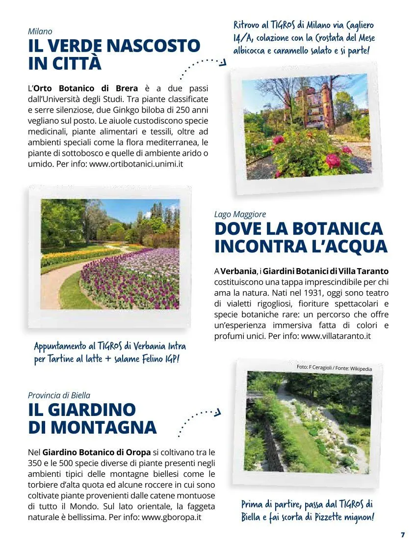 TIGROS da 1 maggio a 31 maggio di 2026 - Pagina del volantino 3