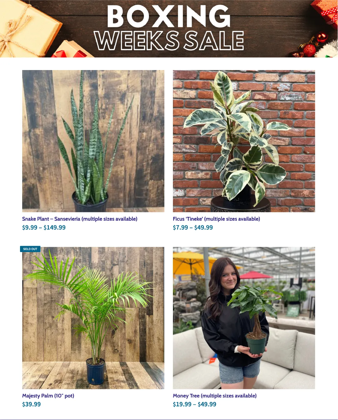 Terra Green Houses Sales from January 14 to January 31 2026 - flyer page 2