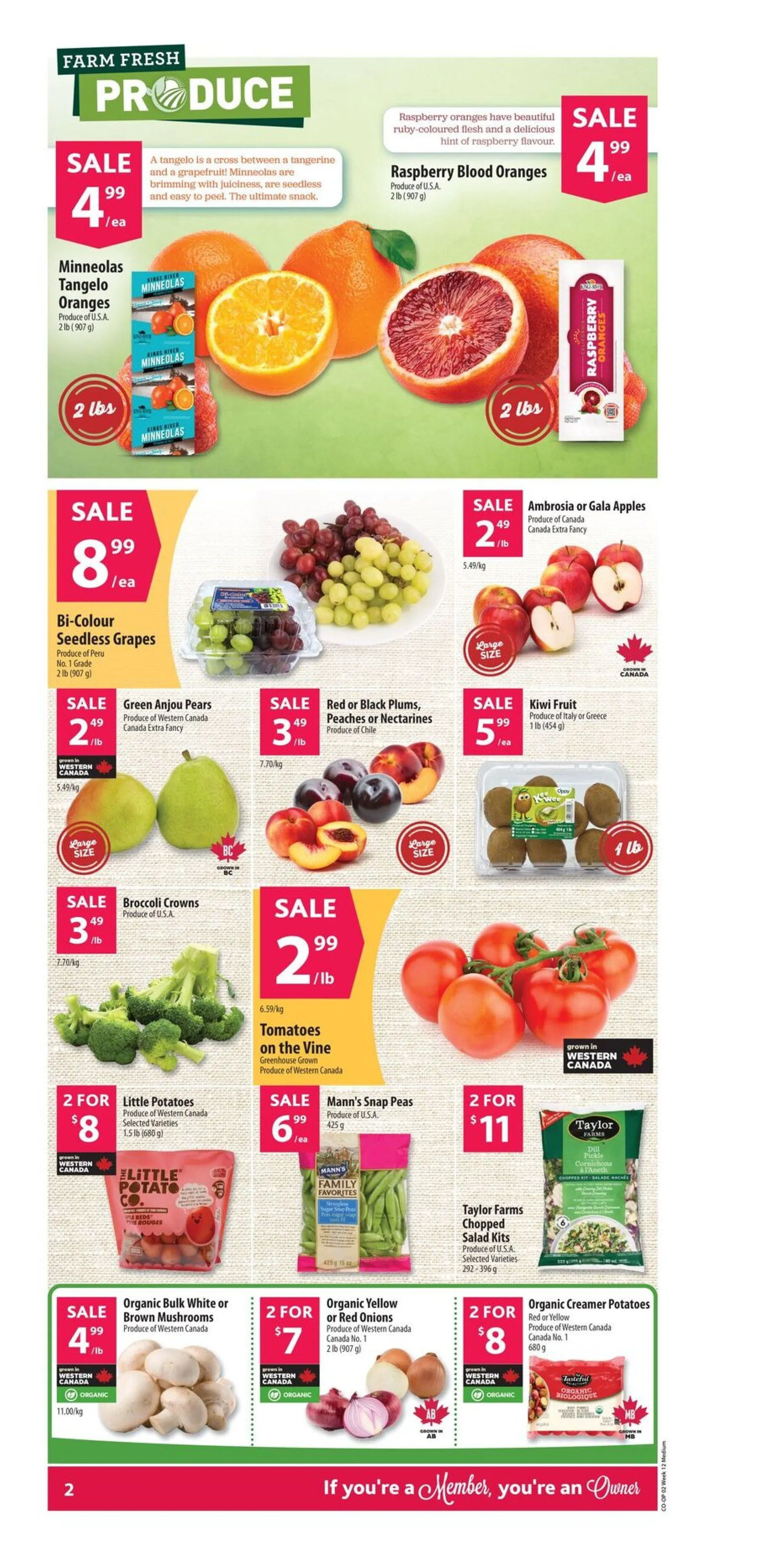 Co-op Food flyers from March 19 to March 25 2026 - flyer page 3