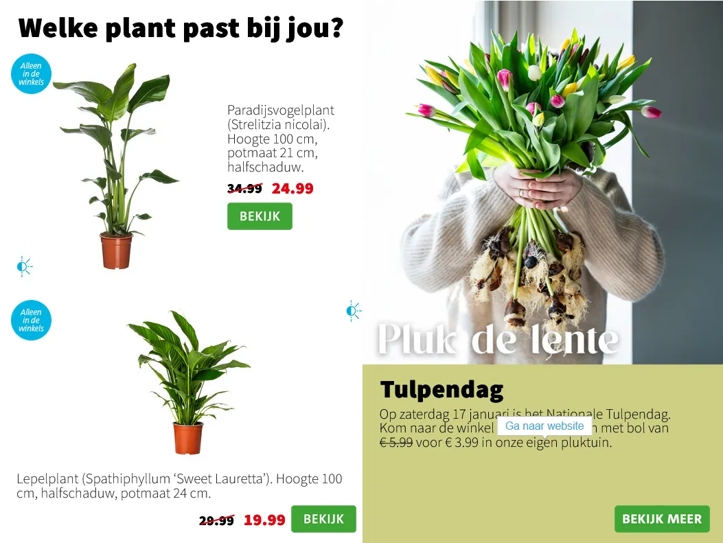 Intratuin folders van 12 januari tot 18 januari 2026 - Folder pagina 3