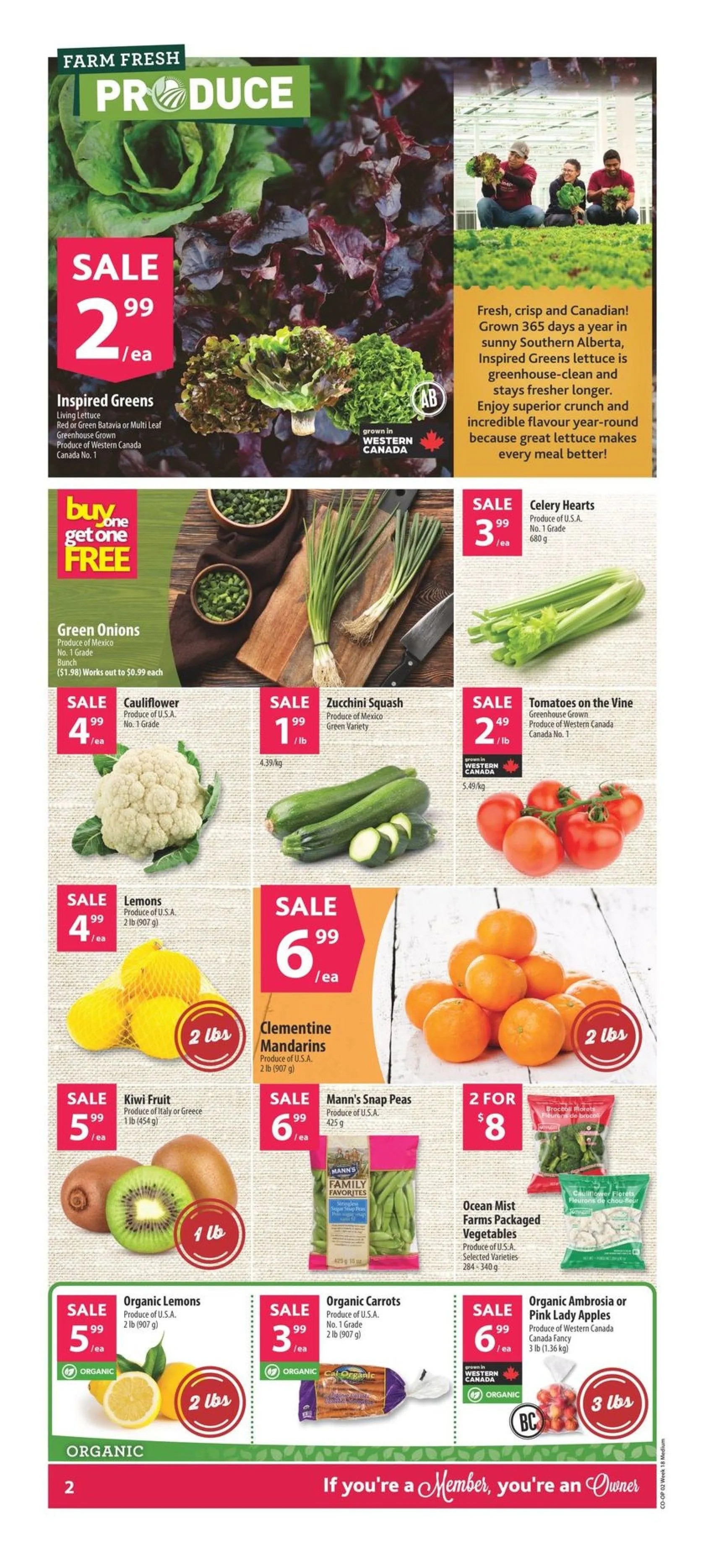 Co-op Food flyers from April 24 to April 30 2025 - flyer page 3