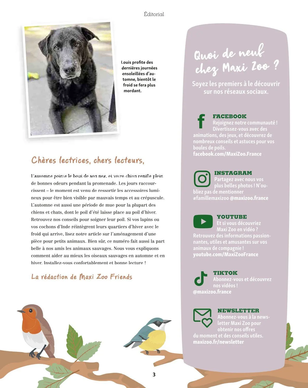 Maxi ZOO Catalogue du 23 décembre au 31 décembre 2025 - Catalogue page 3