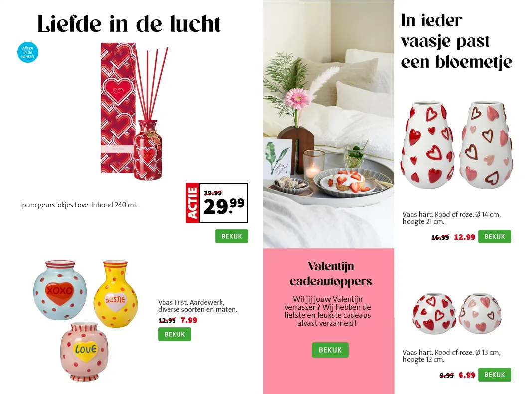 Intratuin folders van 9 februari tot 15 februari 2026 - Folder pagina 3