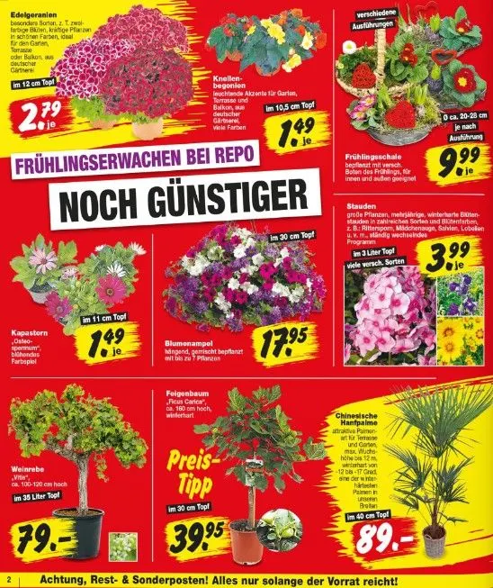 Repo Markt Prospekte von 14. April bis 19. April 2025 - Prospekt seite 2