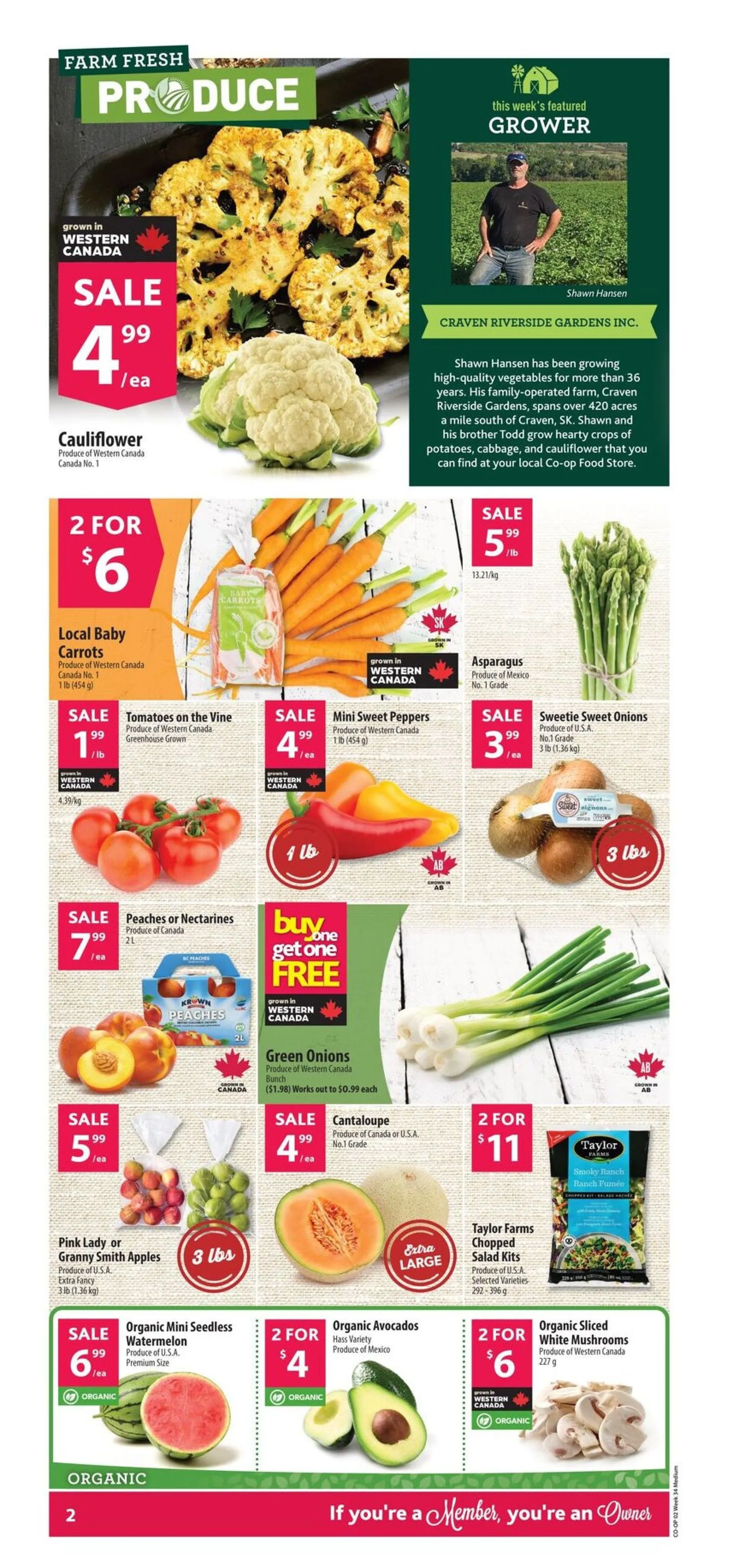 Co-op Food flyers from August 14 to August 20 2025 - flyer page 3