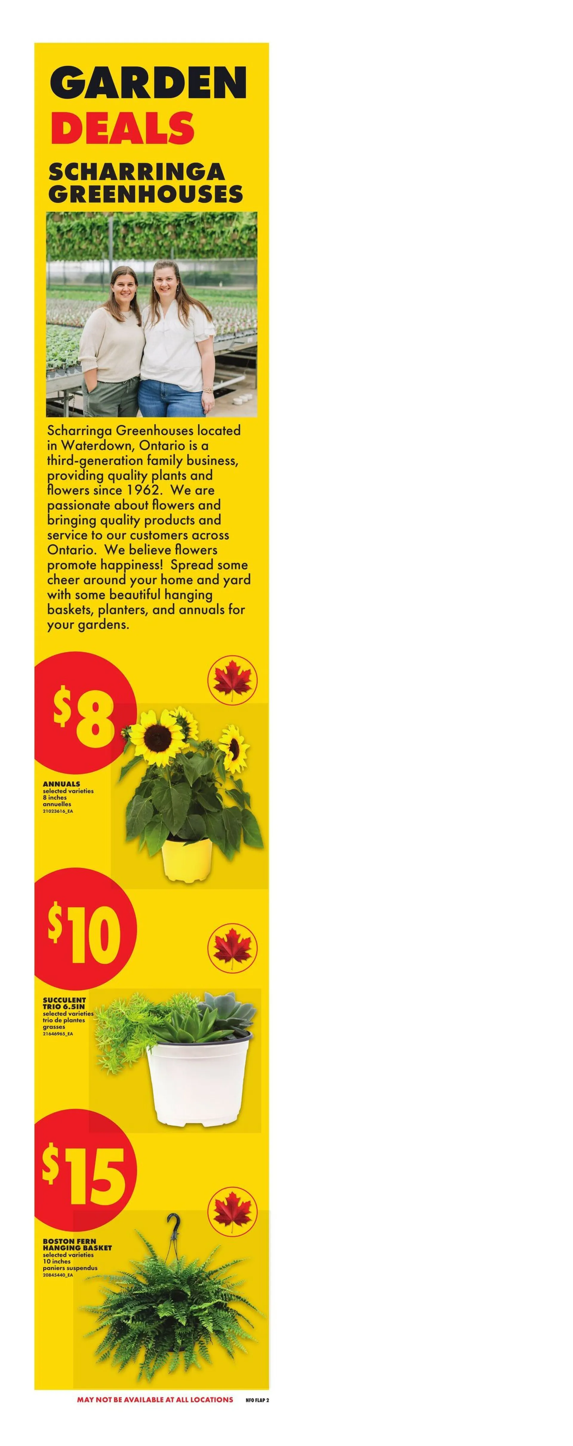 No Frills Sales from May 27 to June 2 2026 - flyer page 2