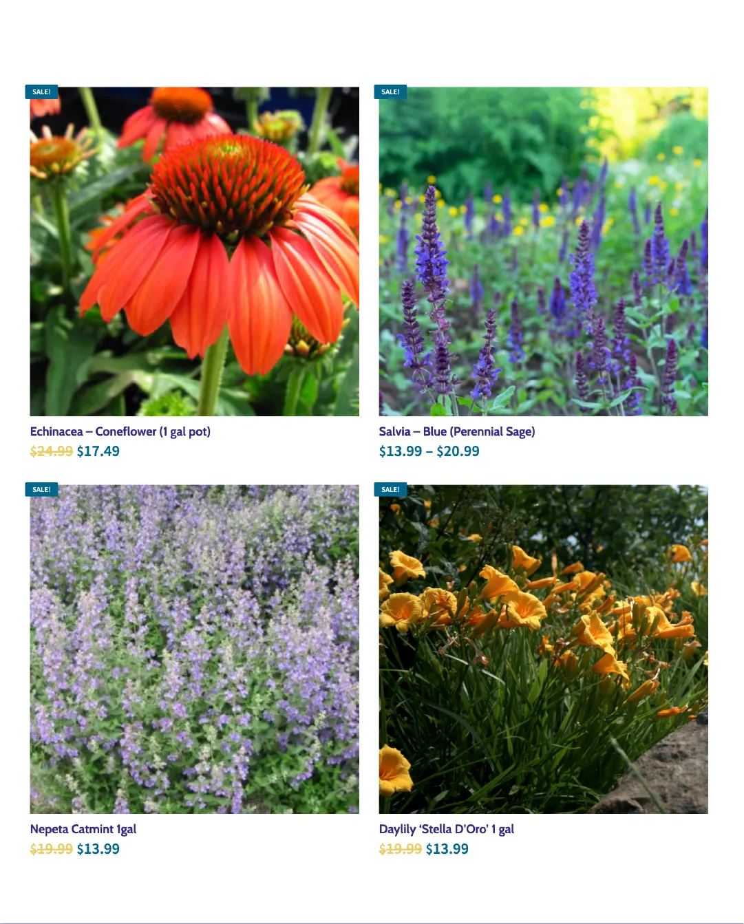 Terra Green Houses Sales from June 25 to July 8 2026 - flyer page 2