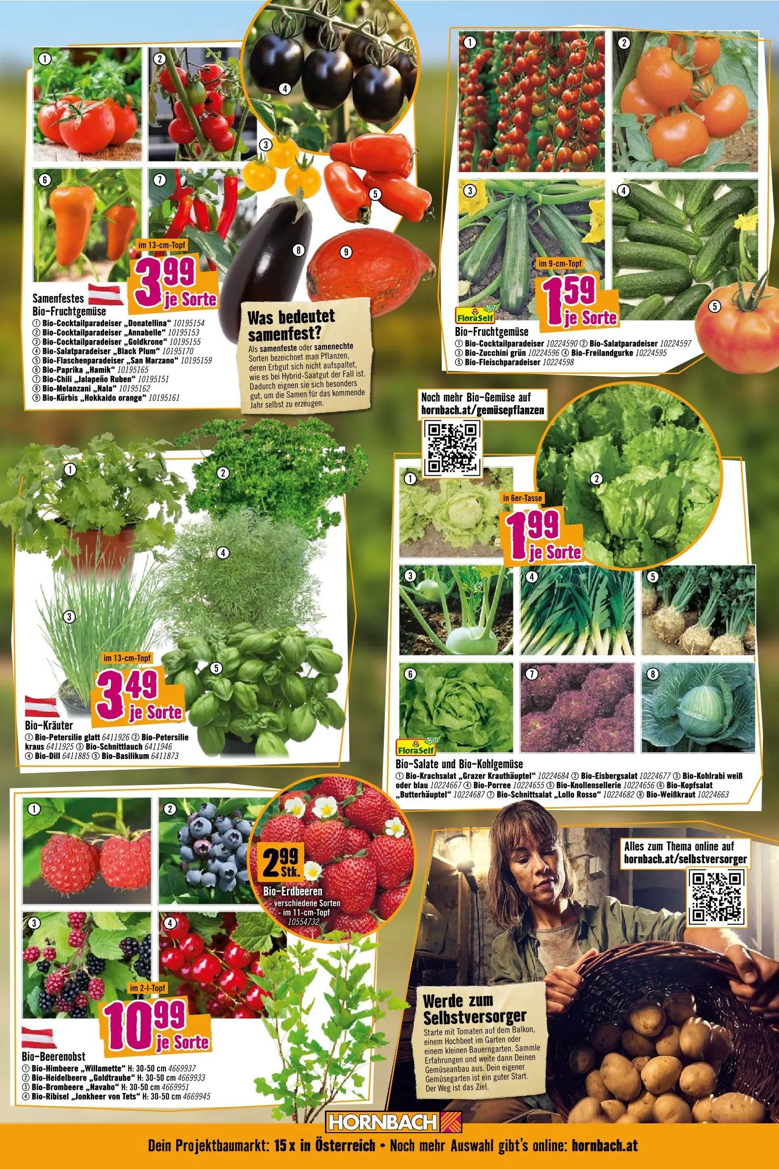 Hornbach von 28. April bis 30. Mai 2026 - Flugblätt seite  3