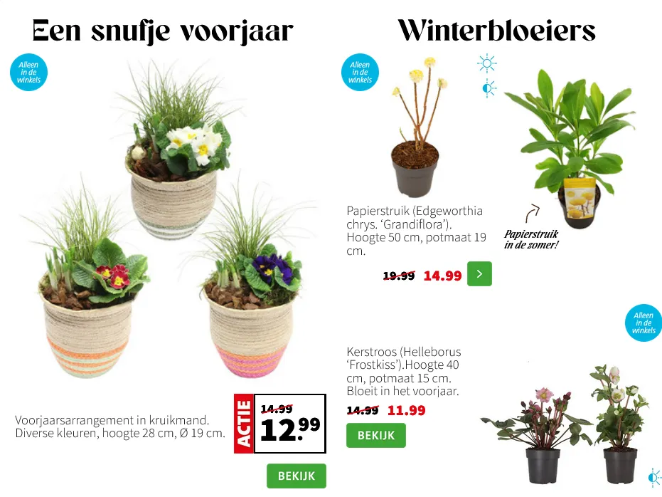  Intratuin folders van 2 februari tot 8 februari 2026 - Folder pagina 3