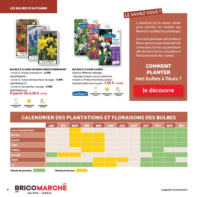 Catalogues Tridôme du 31 octobre au 29 novembre 2025 - Catalogue page 3