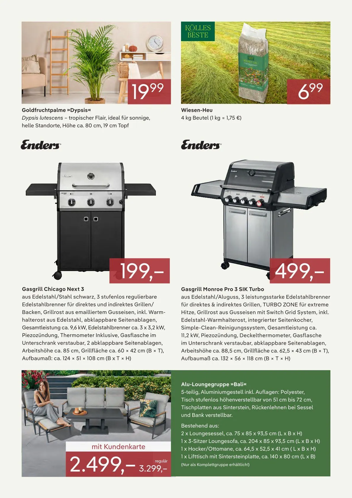 Pflanzen-Kölle Prospekte von 22. Januar bis 31. Januar 2026 - Prospekt seite 3