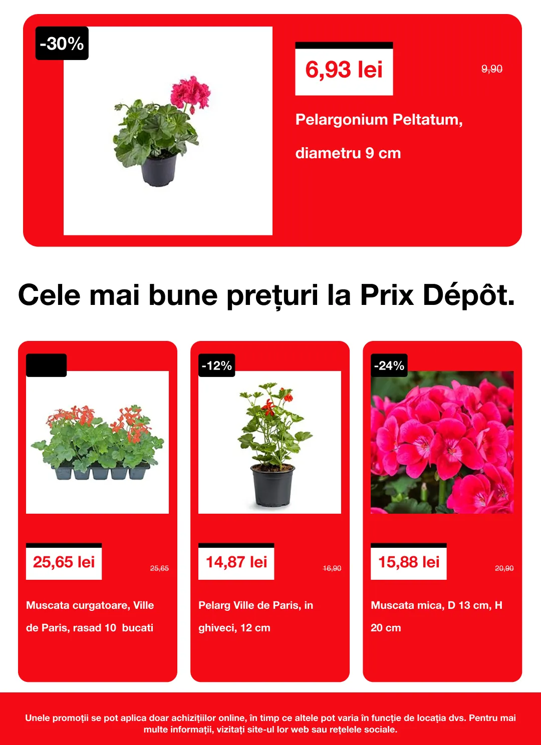 Catalog  Brico Depot de la 16 aprilie până la 6 mai 2026 - Revista Pagina 3