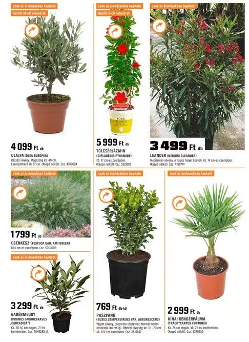 Katalógus OBI Ajánlatok április 1.-tól április 30.-ig 2025. - Oldal 3