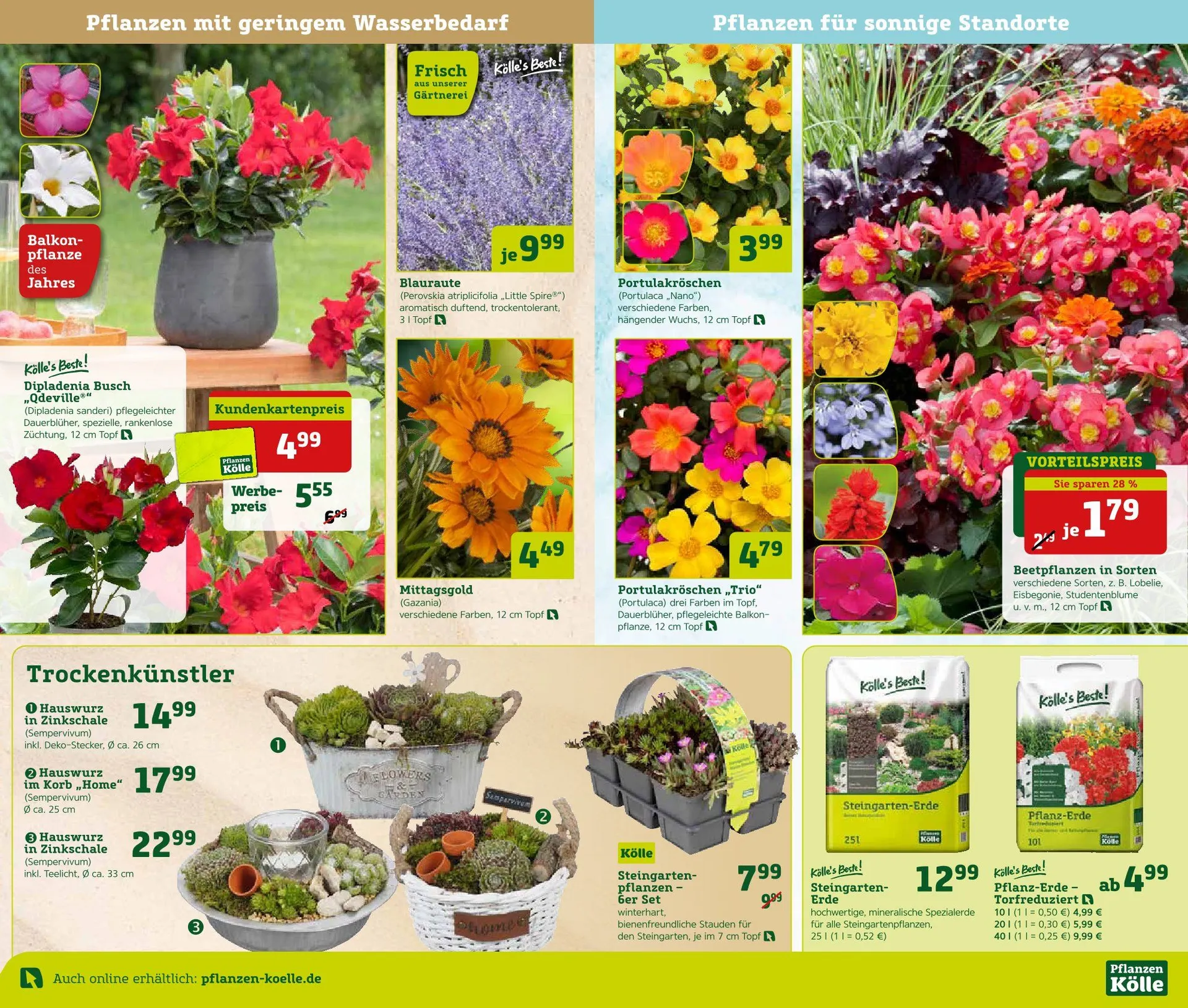 Pflanzen-Kölle Prospekte von 16. Mai bis 18. Mai 2025 - Prospekt seite 5