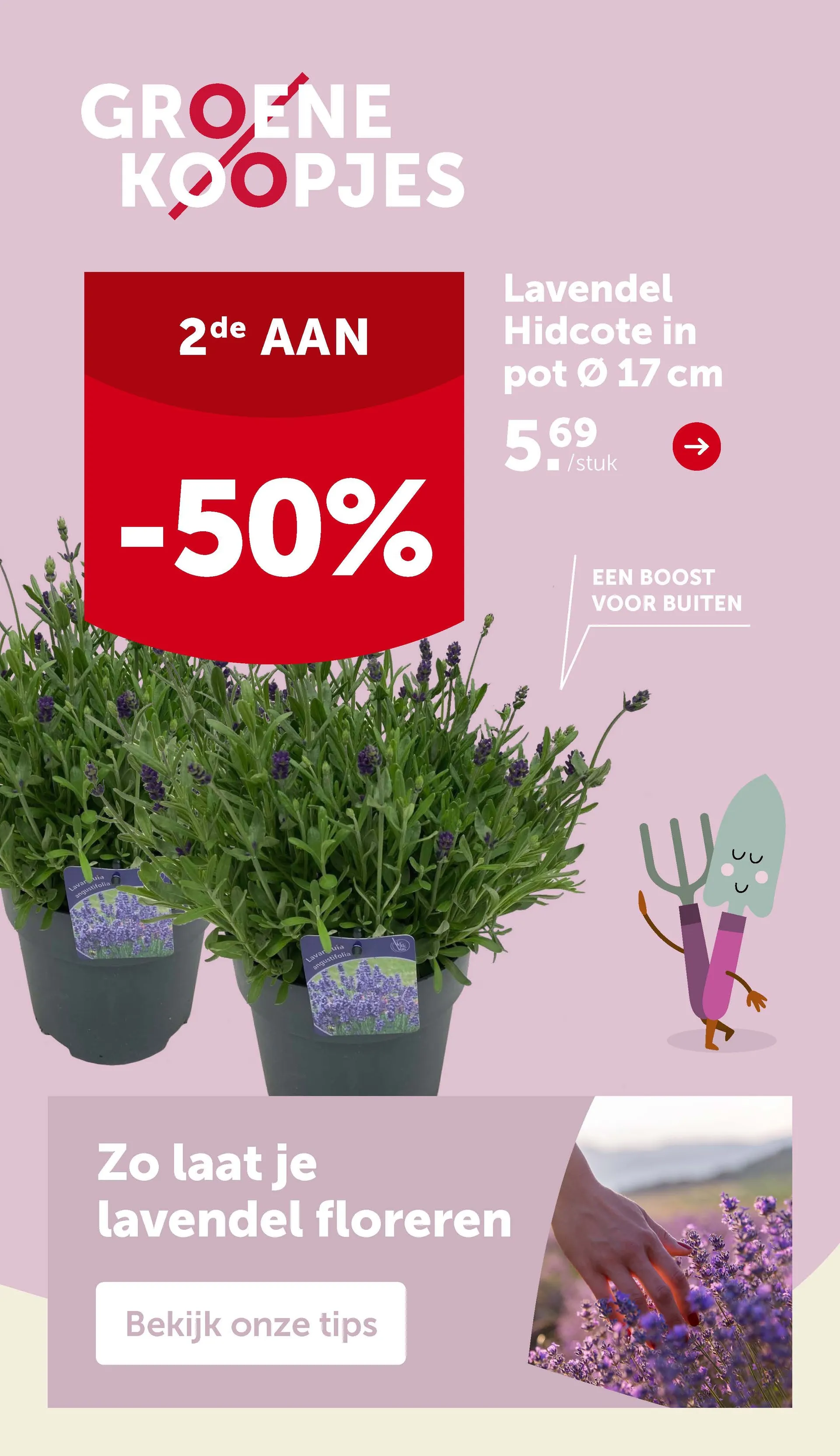Speciale aanbiedingen van Aveve van 28 mei tot 1 juni 2025 - Folder pagina 3