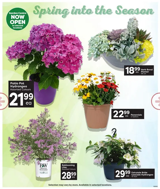 Nesters Market Sales from May 14 to May 20 2026 - flyer page 3