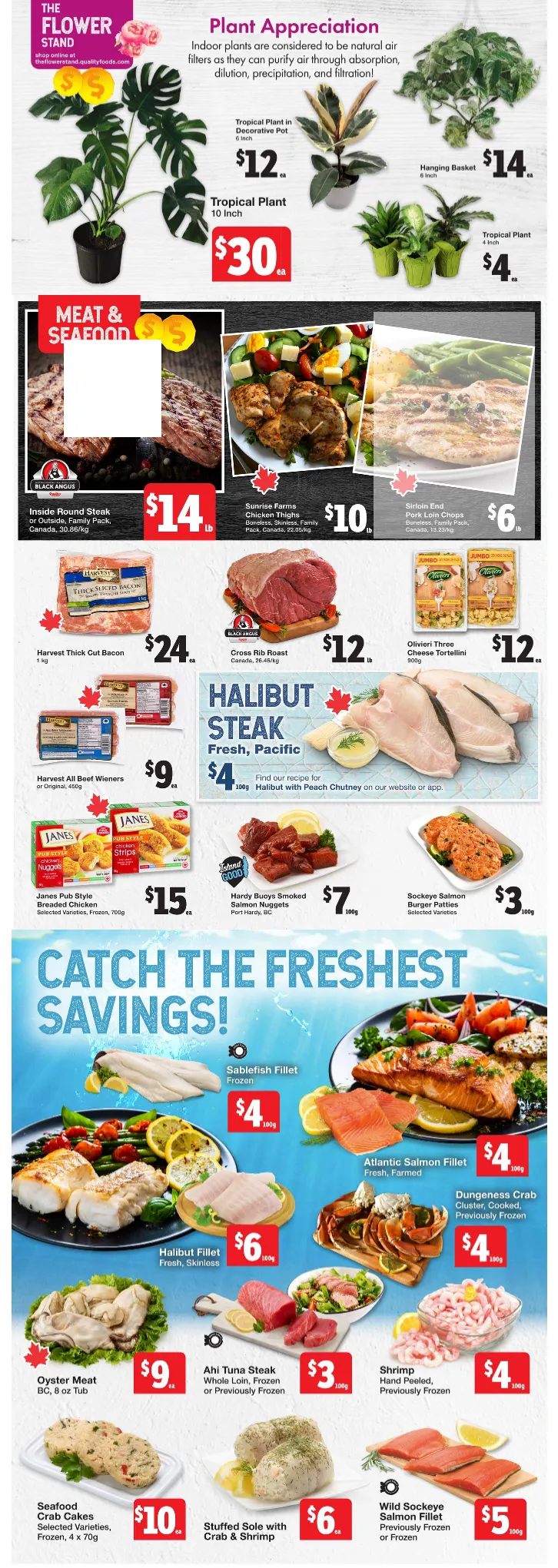 Quality Foods Sales from April 9 to April 15 2026 - flyer page 3